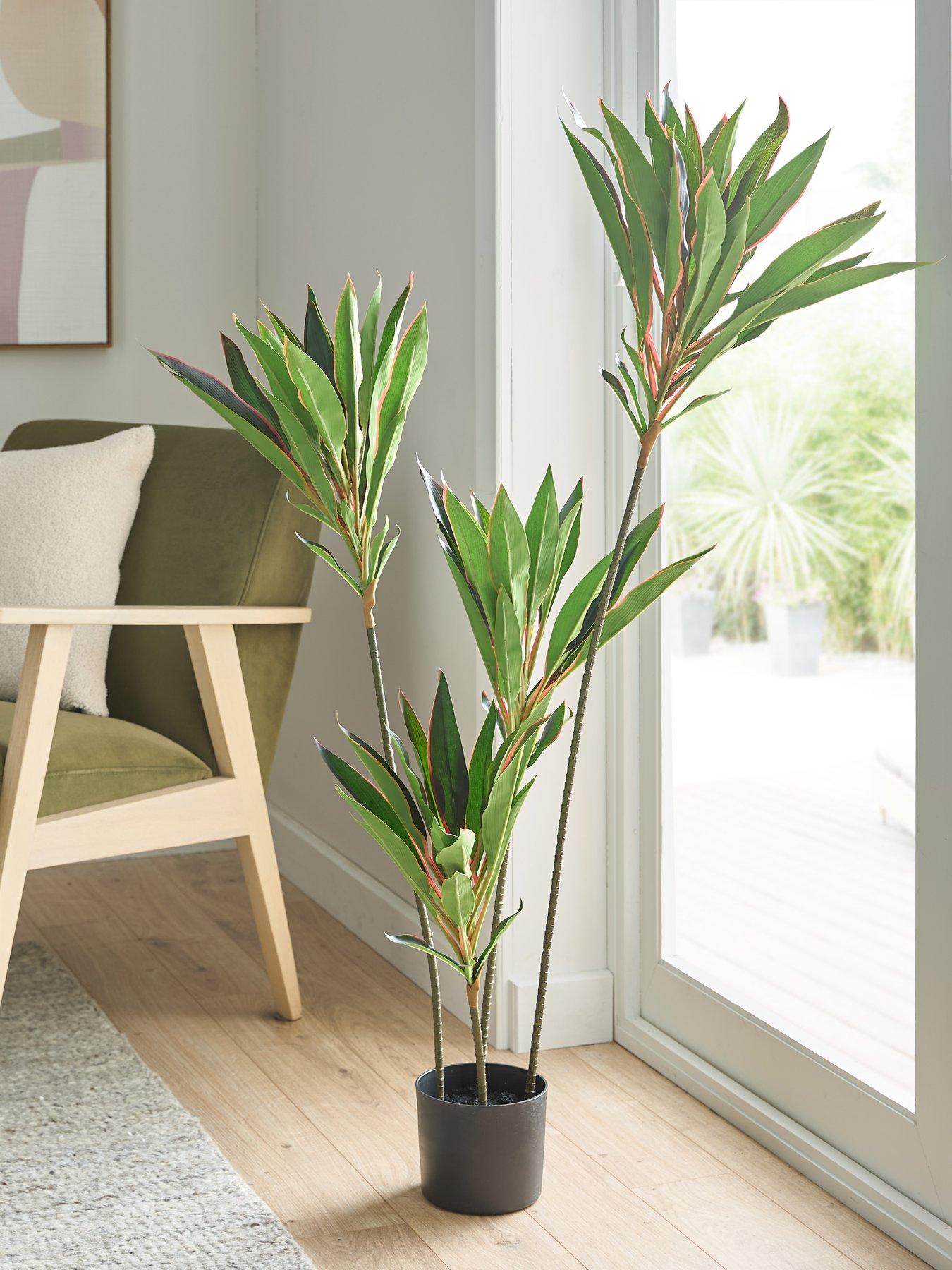 Very Home 120cm Real Touch Red Dracaena In Plastic Pot