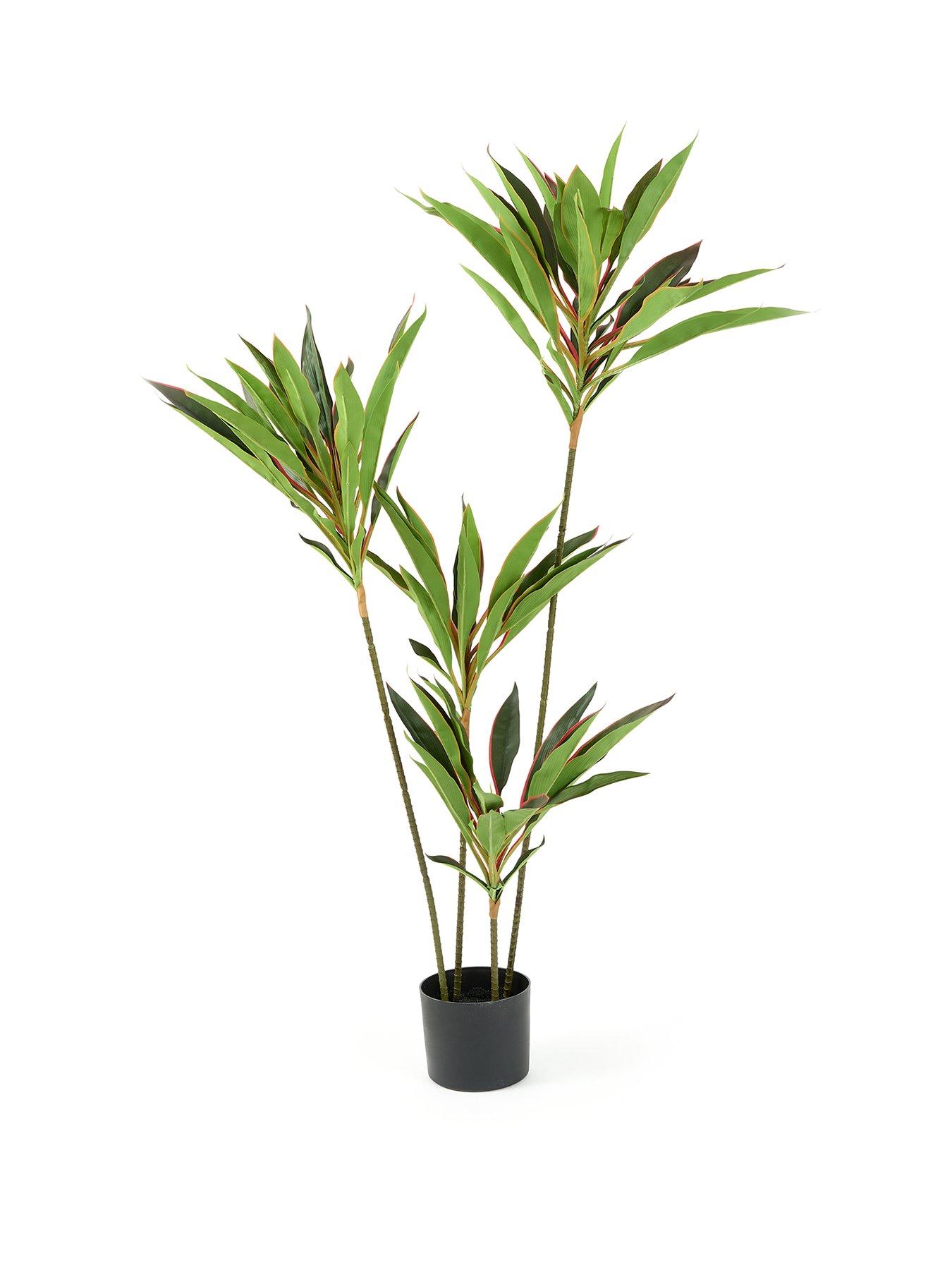 stillFront image of very-home-120cm-real-touch-red-dracaena-in-plastic-pot