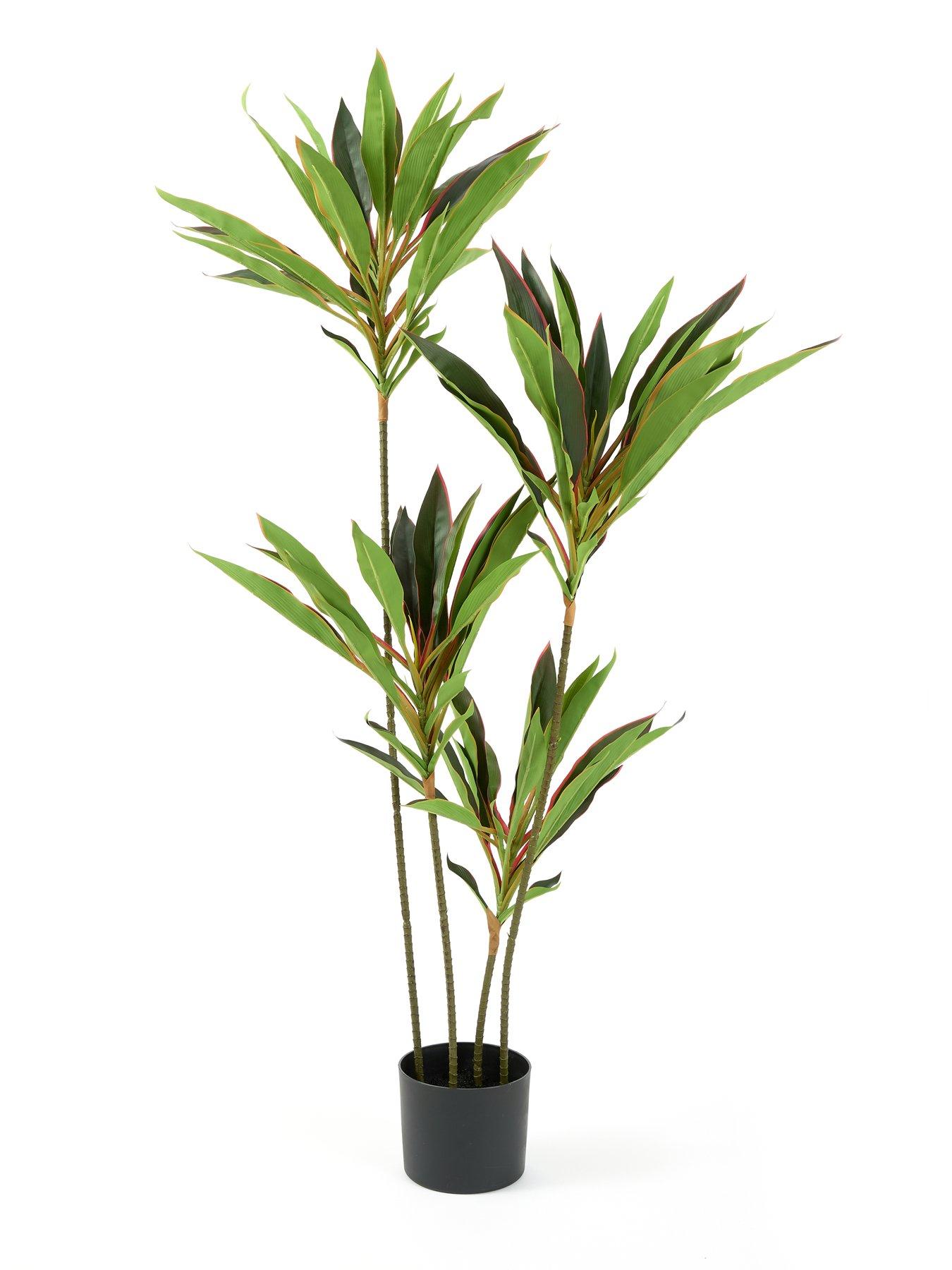  image of very-home-120cm-real-touch-red-dracaena-in-plastic-pot