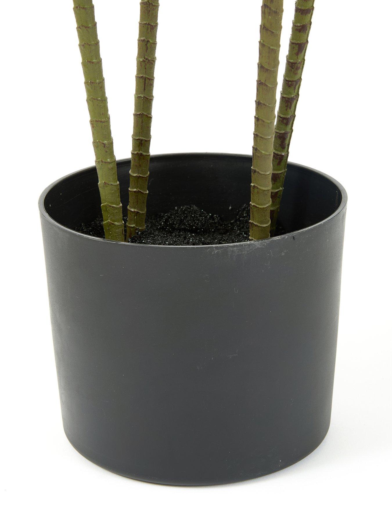  image of very-home-120cm-real-touch-red-dracaena-in-plastic-pot