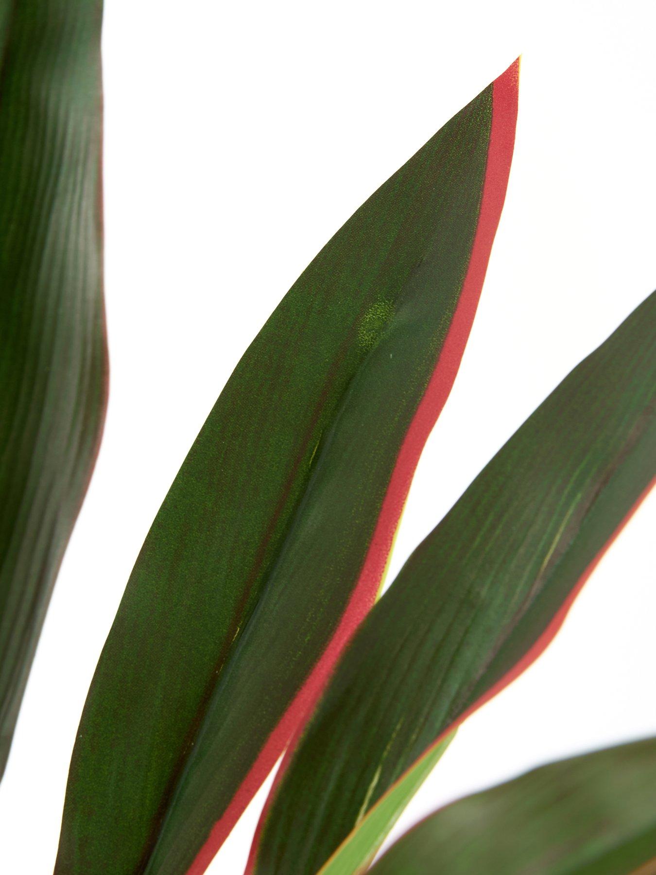  image of very-home-120cm-real-touch-red-dracaena-in-plastic-pot