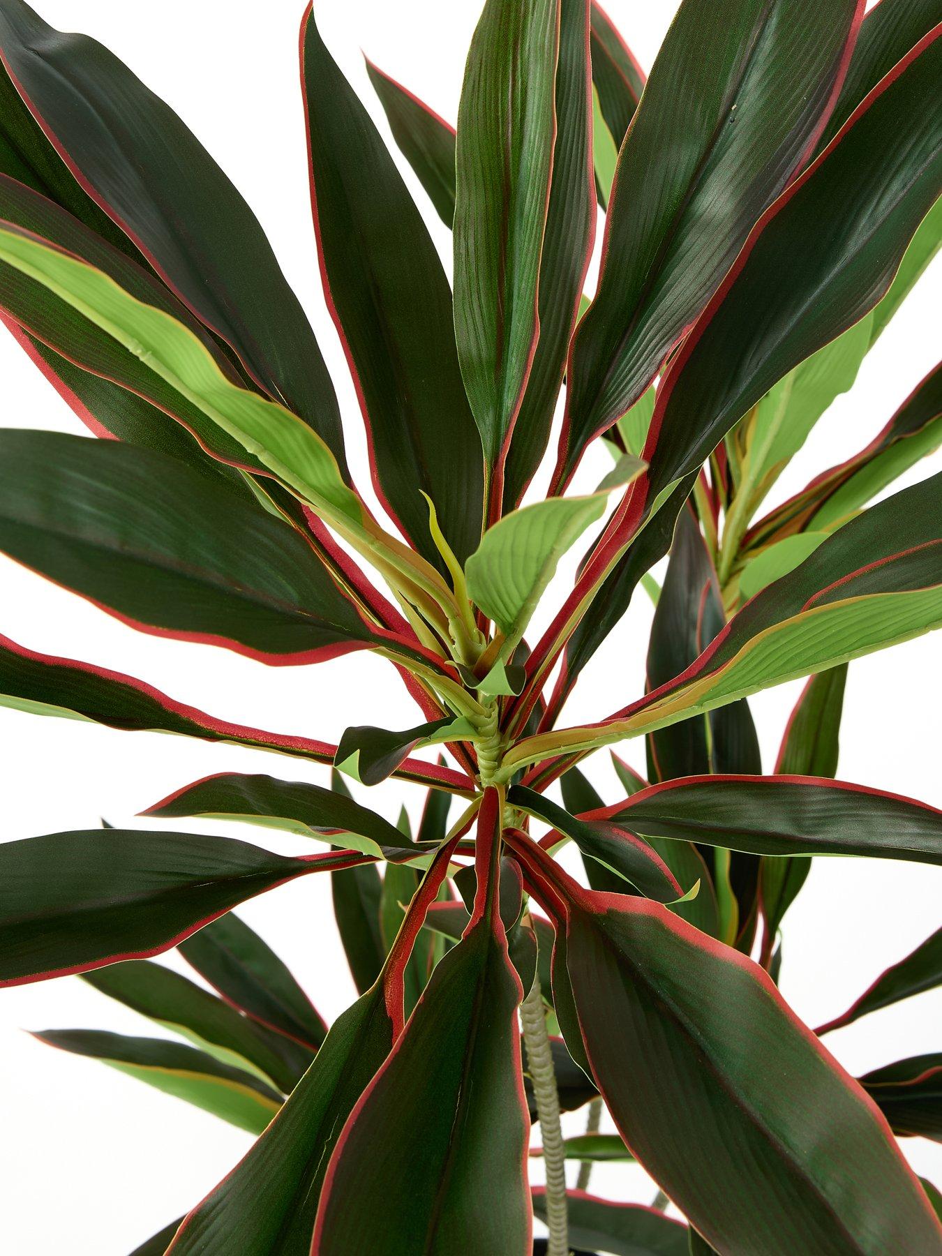  image of very-home-120cm-real-touch-red-dracaena-in-plastic-pot
