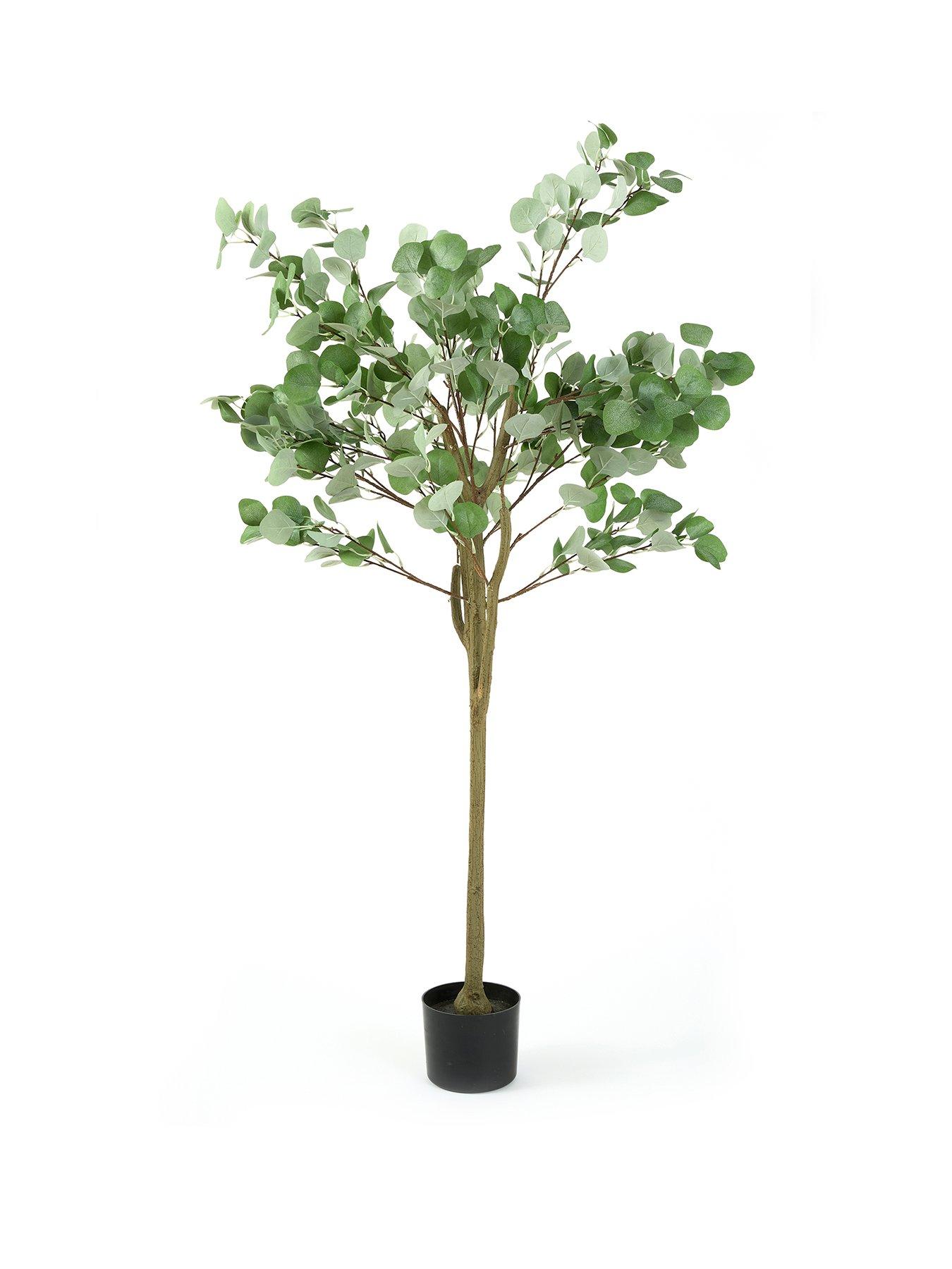  image of very-home-150cm-eucalyptus-tree