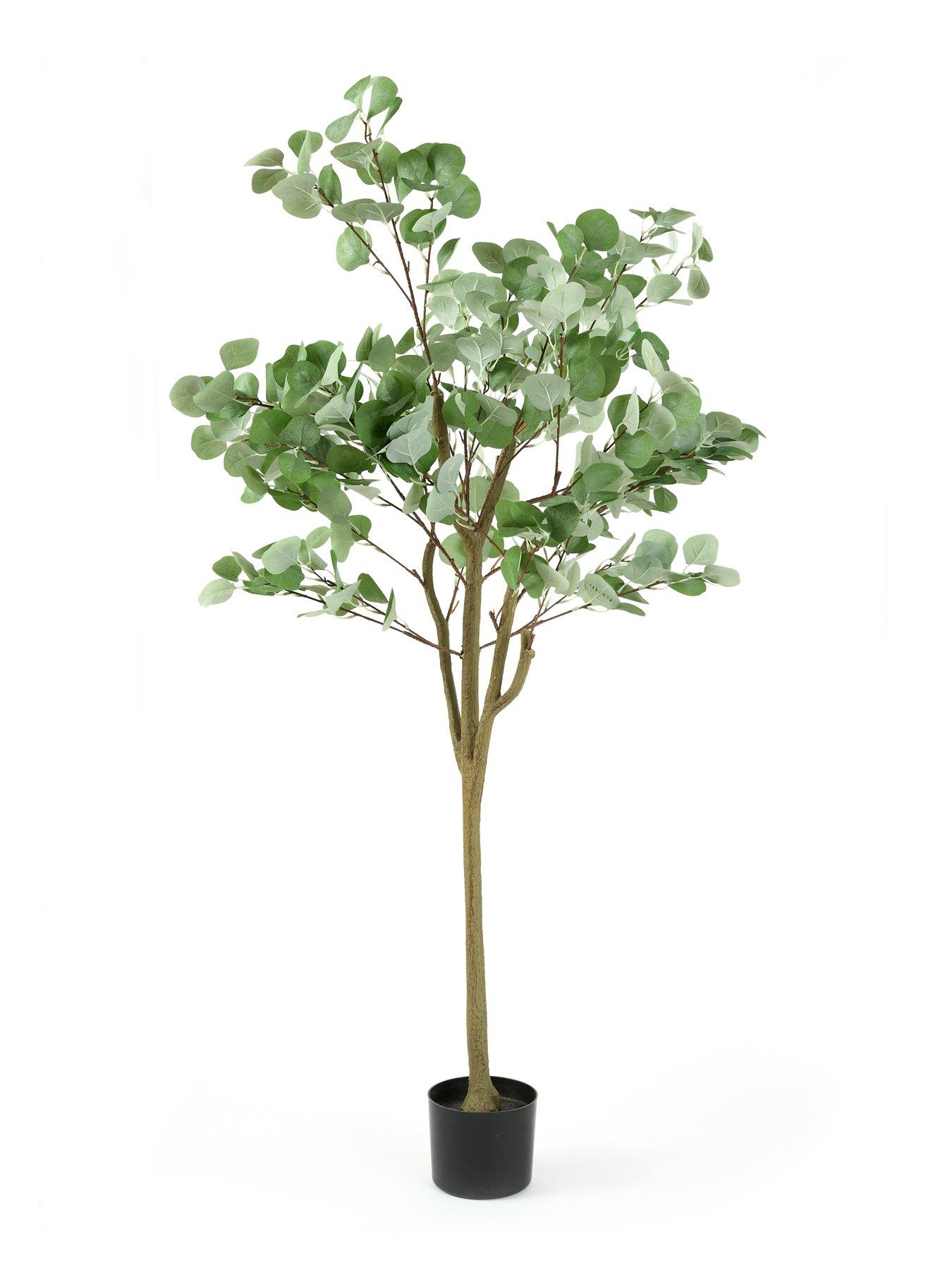  image of very-home-150cm-eucalyptus-tree