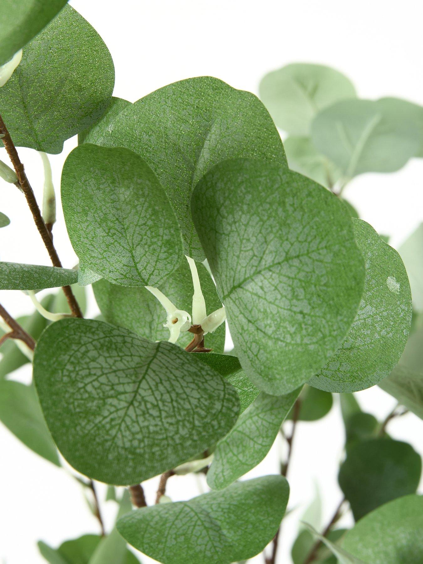  image of very-home-150cm-eucalyptus-tree