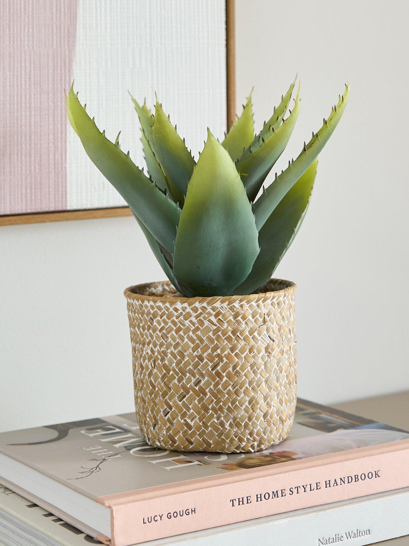 The Very Collection 28cm Aloe Woven Pot