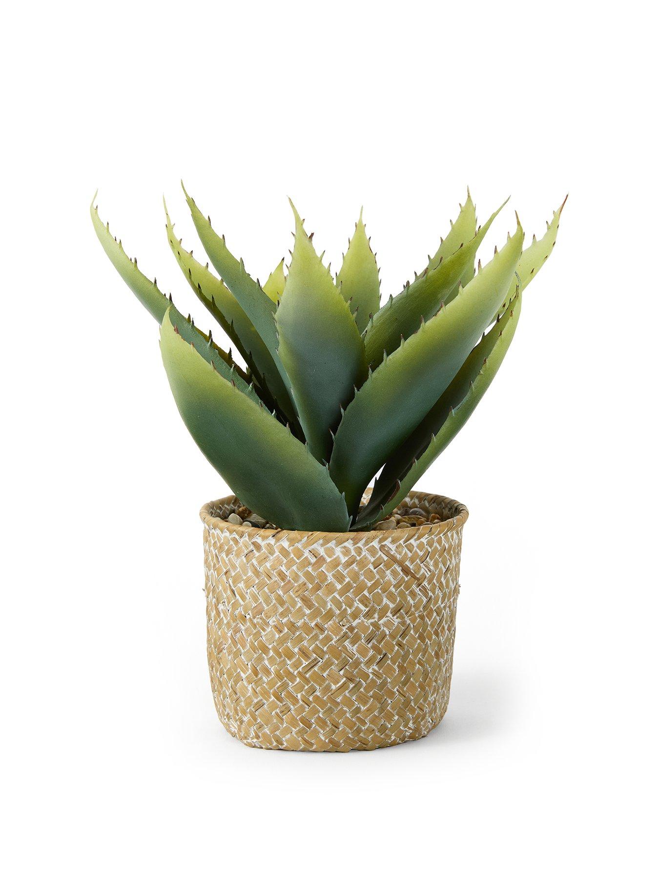  image of very-home-28cm-aloe-woven-pot