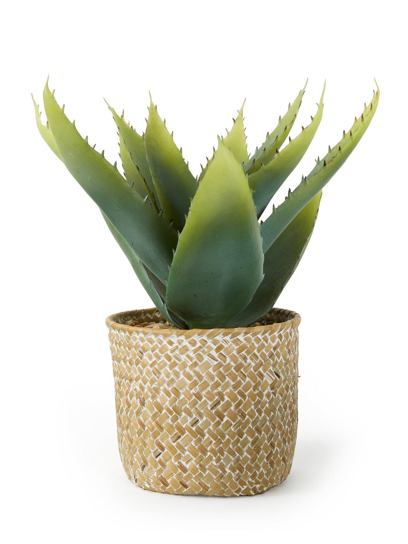 image of very-home-28cm-aloe-woven-pot