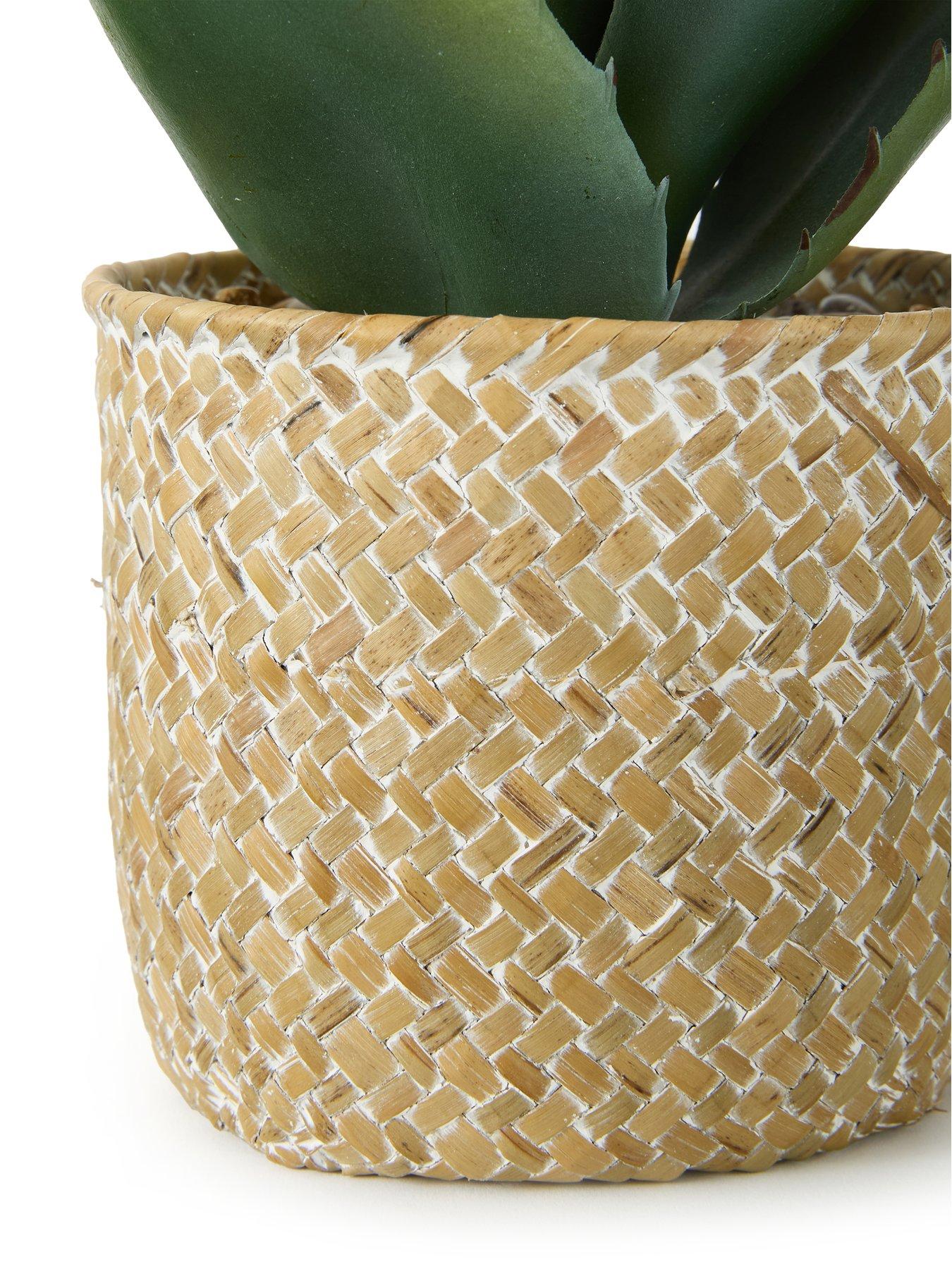  image of very-home-28cm-aloe-woven-pot