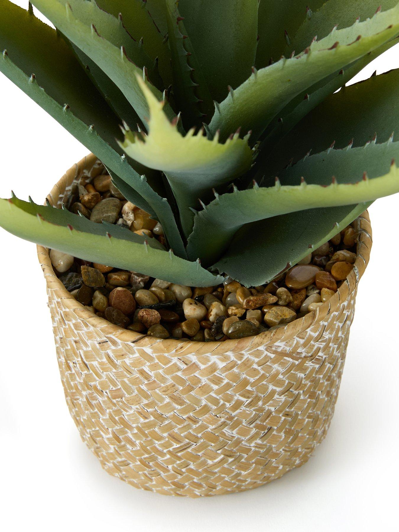  image of very-home-28cm-aloe-woven-pot