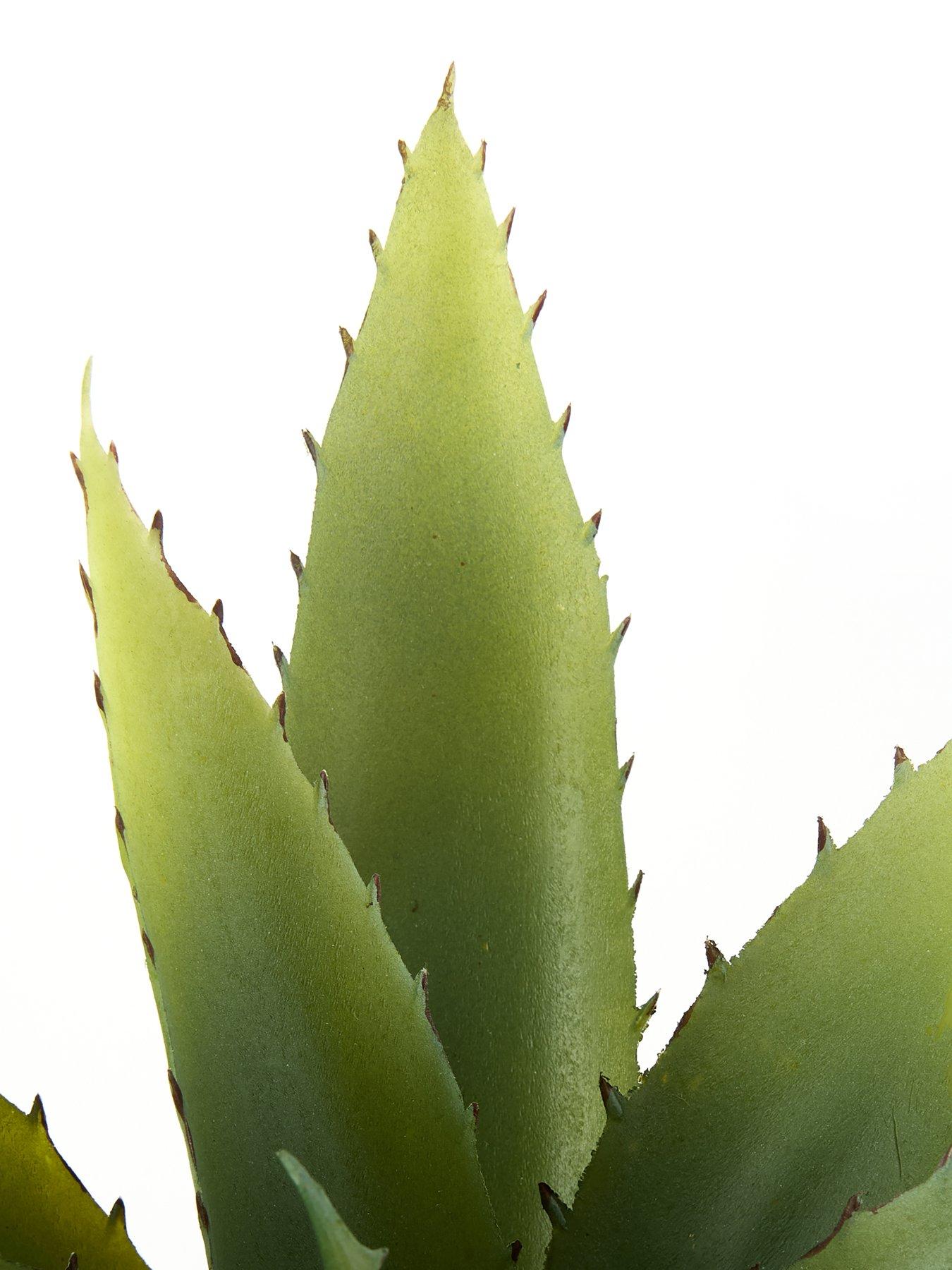  image of very-home-28cm-aloe-woven-pot