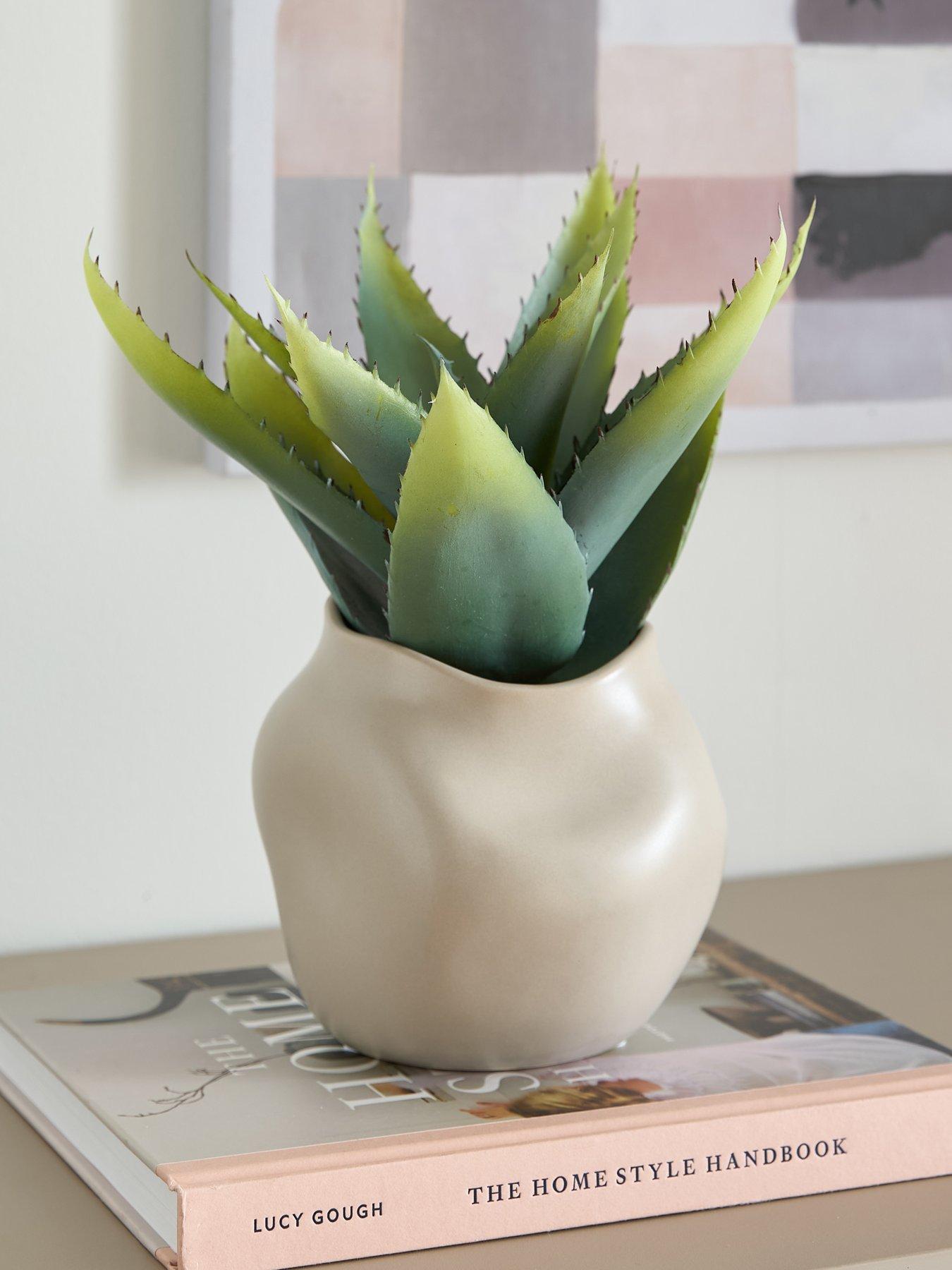  image of very-home-30cm-aloe-absract-beige-ceramic-pot