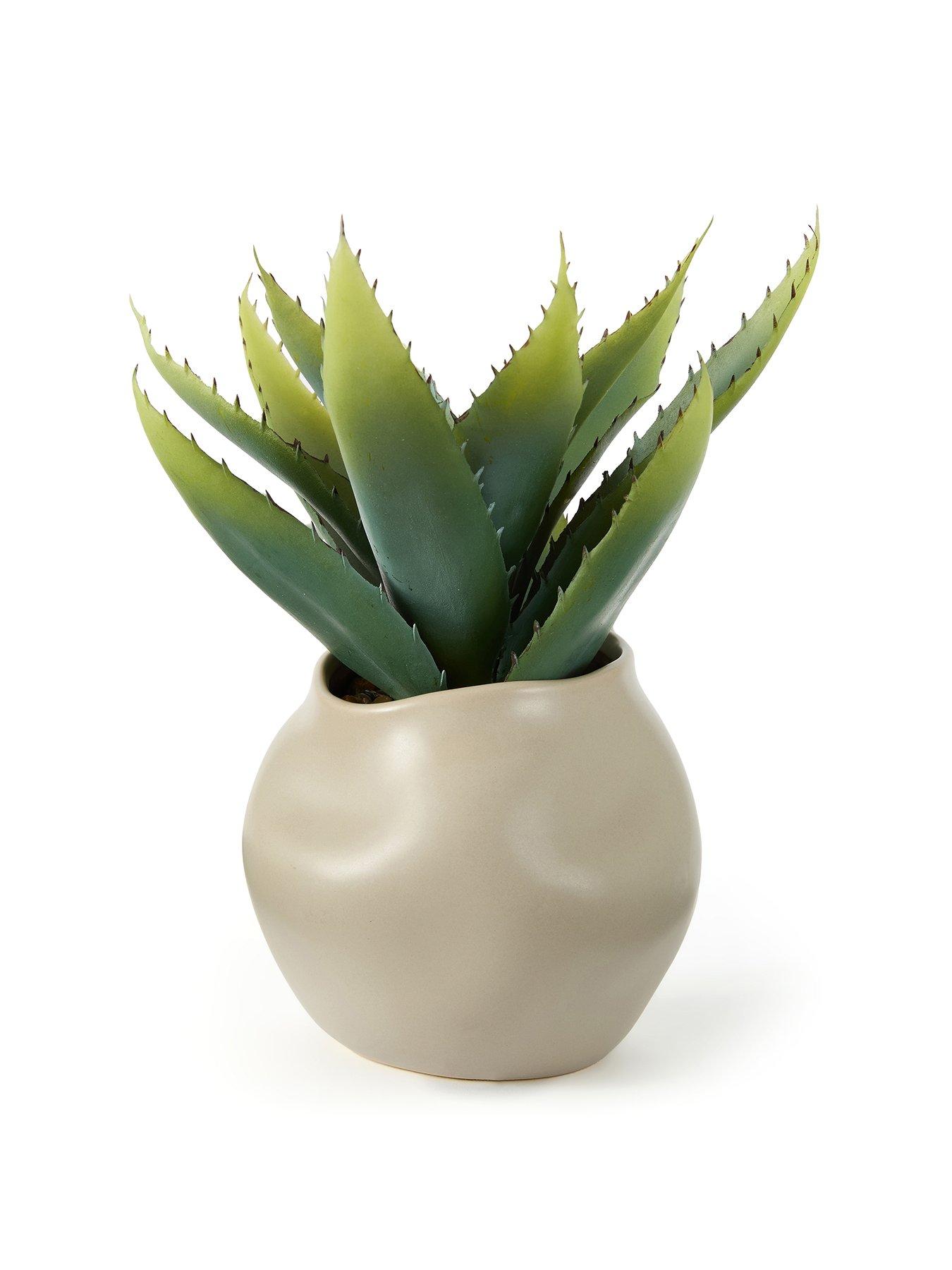 stillFront image of very-home-30cm-aloe-absract-beige-ceramic-pot