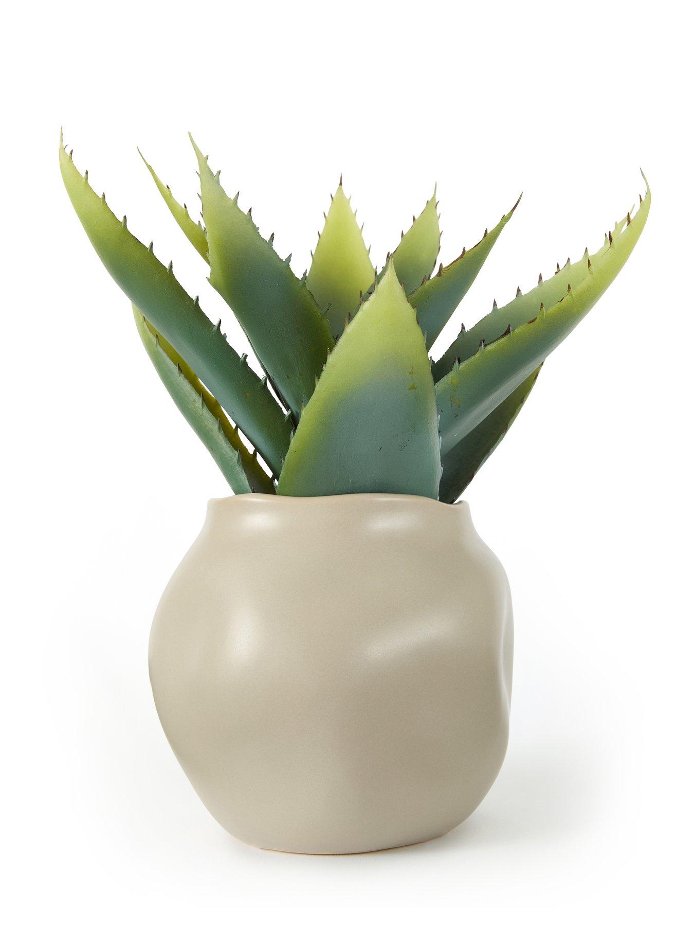  image of very-home-30cm-aloe-absract-beige-ceramic-pot