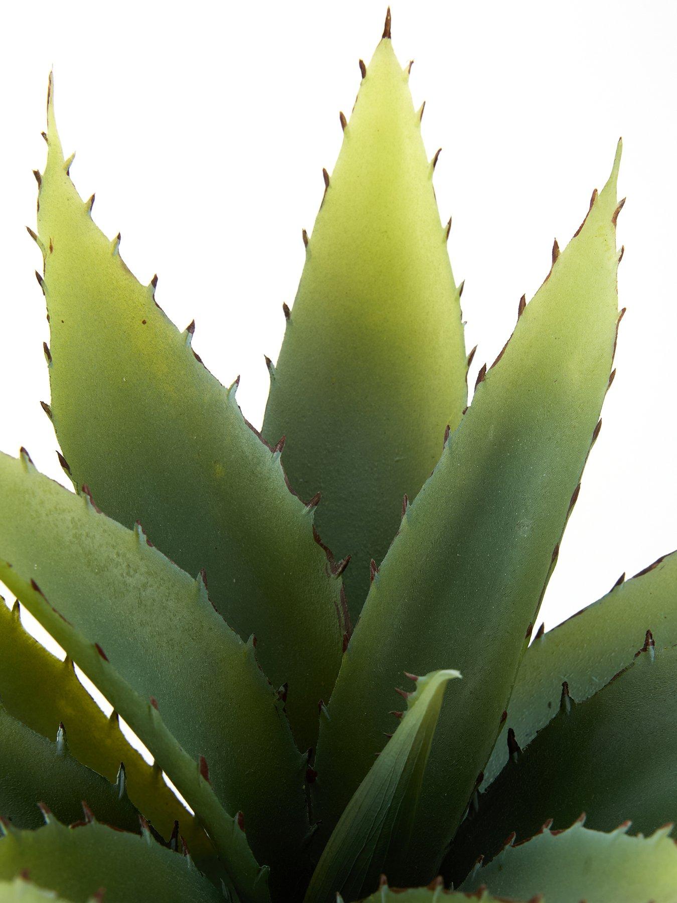  image of very-home-30cm-aloe-absract-beige-ceramic-pot