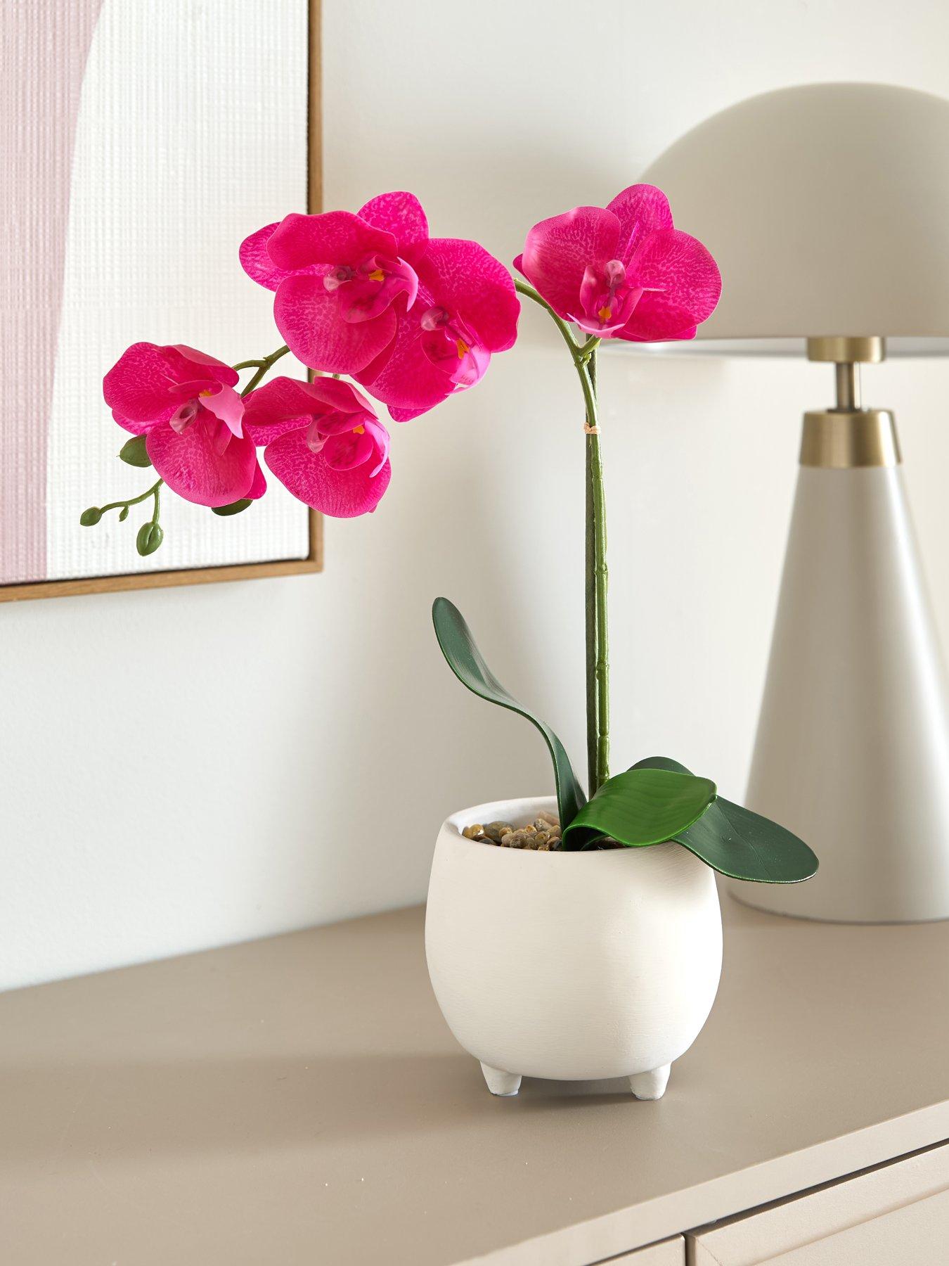 The Very Collection 40cm Pink Orchid In White Ceramic Pot