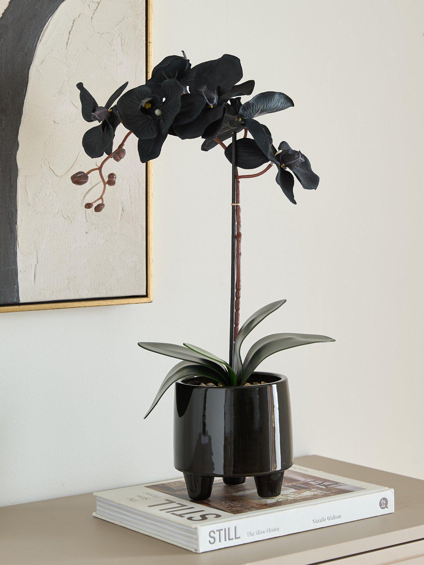 front image of very-home-50cm-black-orchid-in-black-ceramic-pot