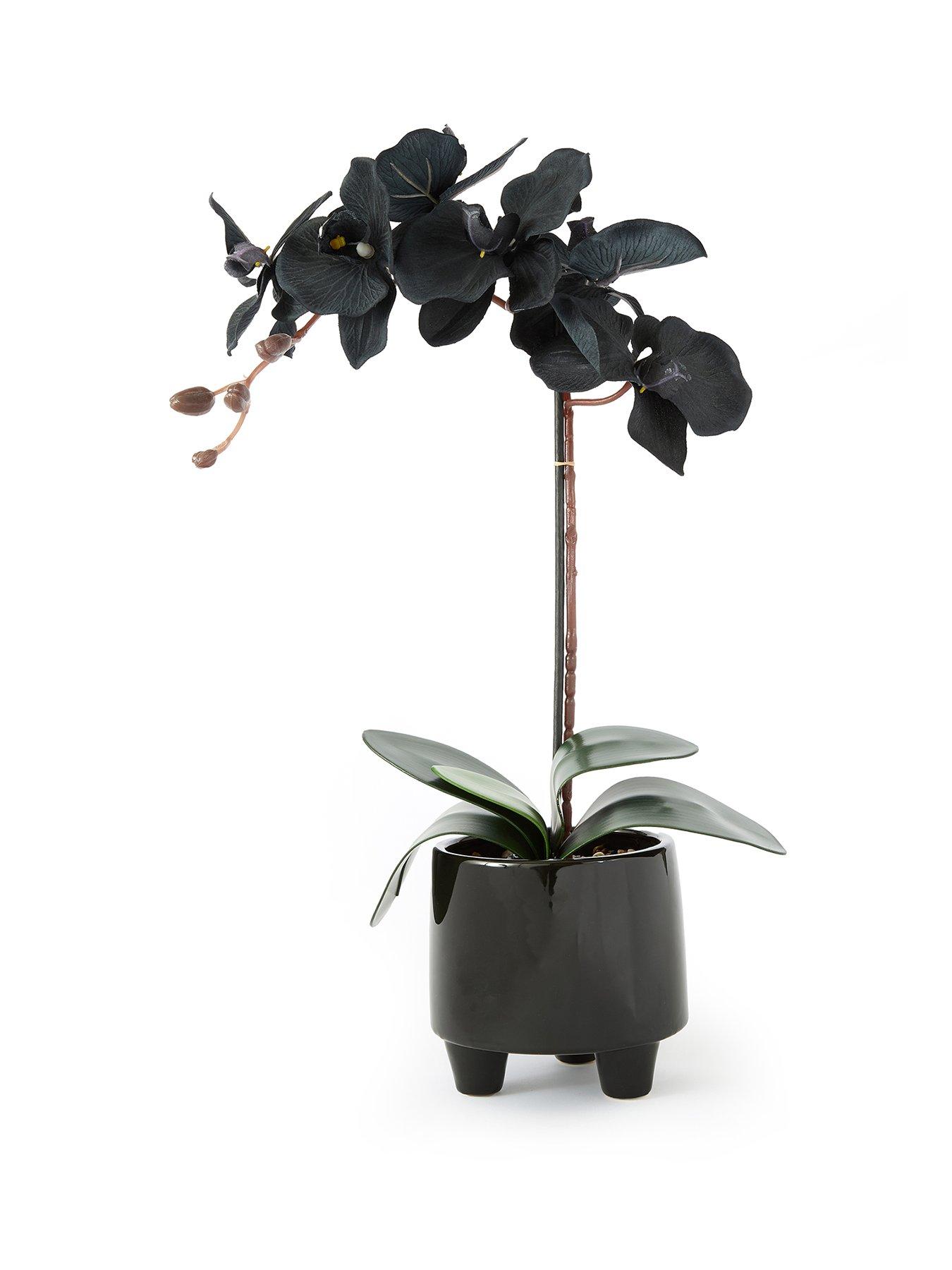 stillFront image of very-home-50cm-black-orchid-in-black-ceramic-pot