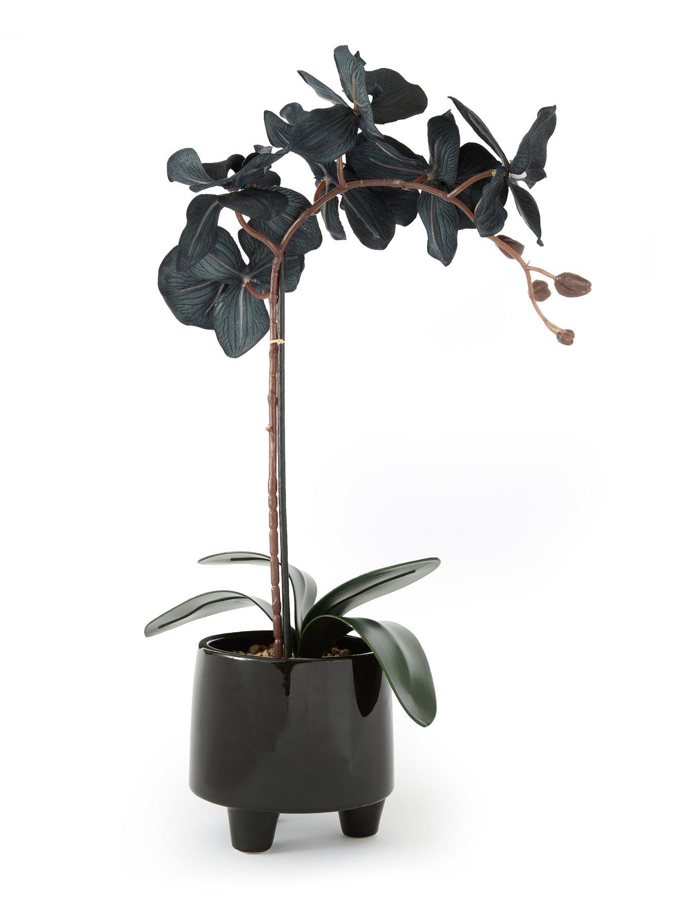  image of very-home-50cm-black-orchid-in-black-ceramic-pot