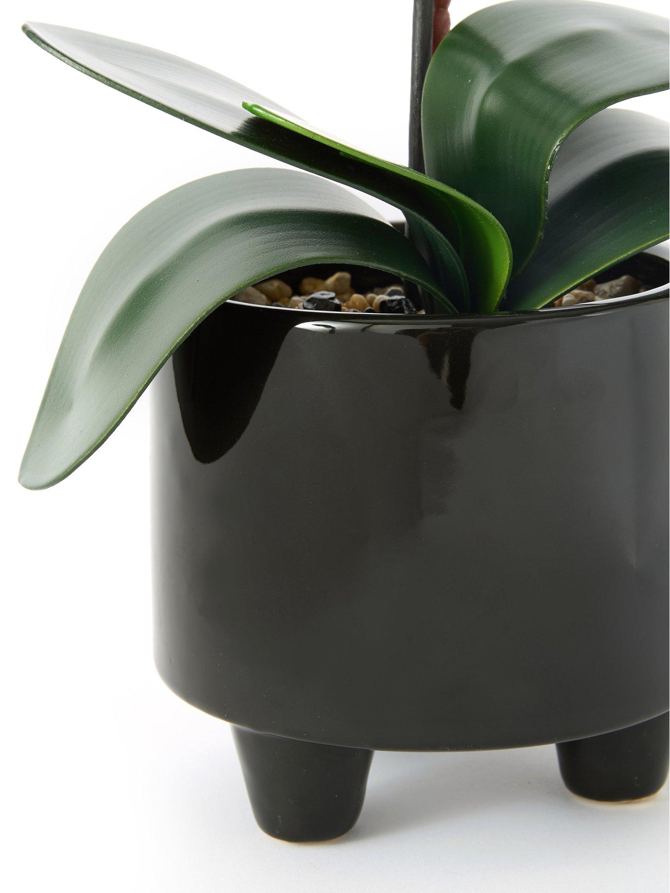  image of very-home-50cm-black-orchid-in-black-ceramic-pot