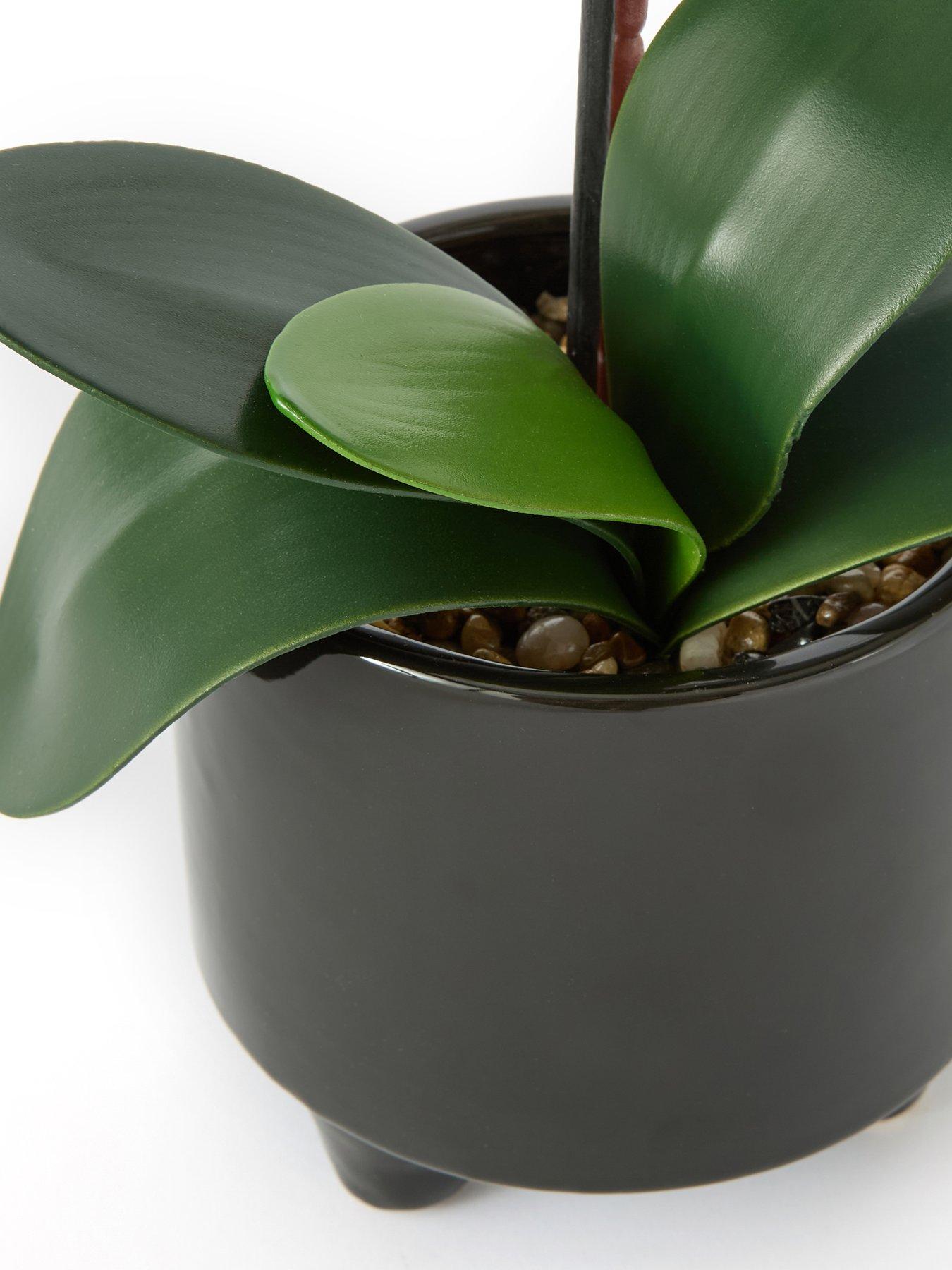  image of very-home-50cm-black-orchid-in-black-ceramic-pot