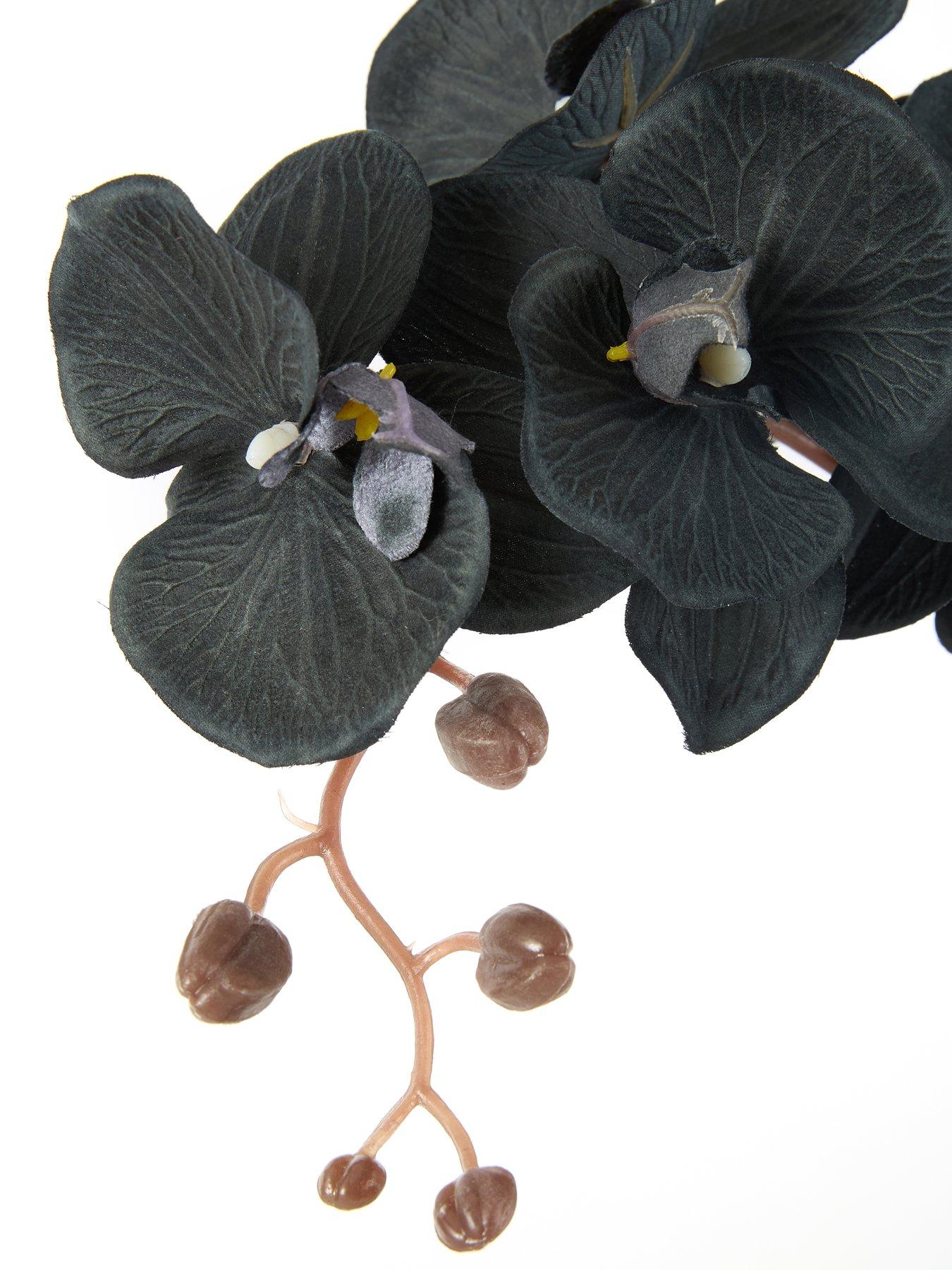  image of very-home-50cm-black-orchid-in-black-ceramic-pot