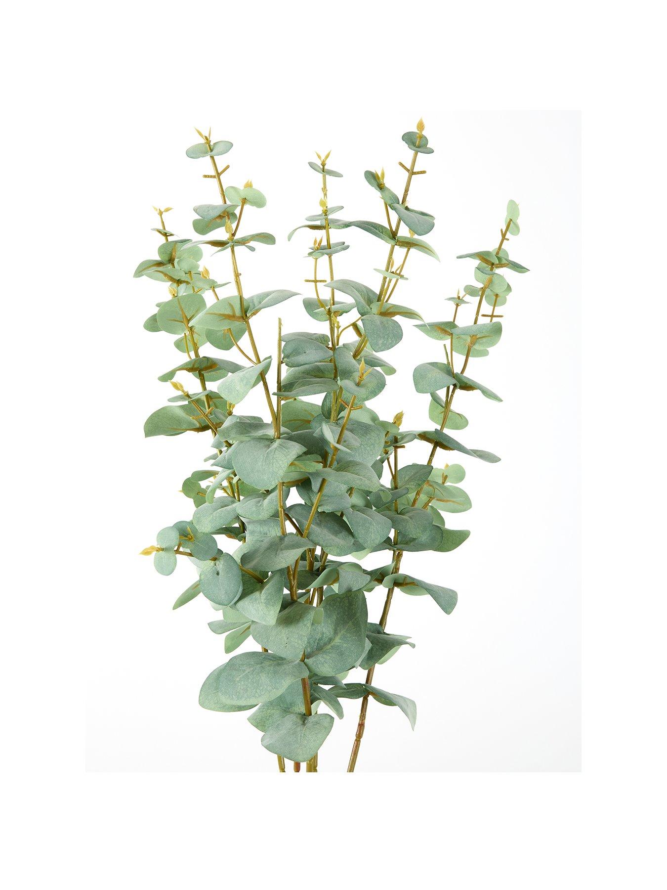  image of very-home-69cm-eucalyptus-stems-pack-of-5