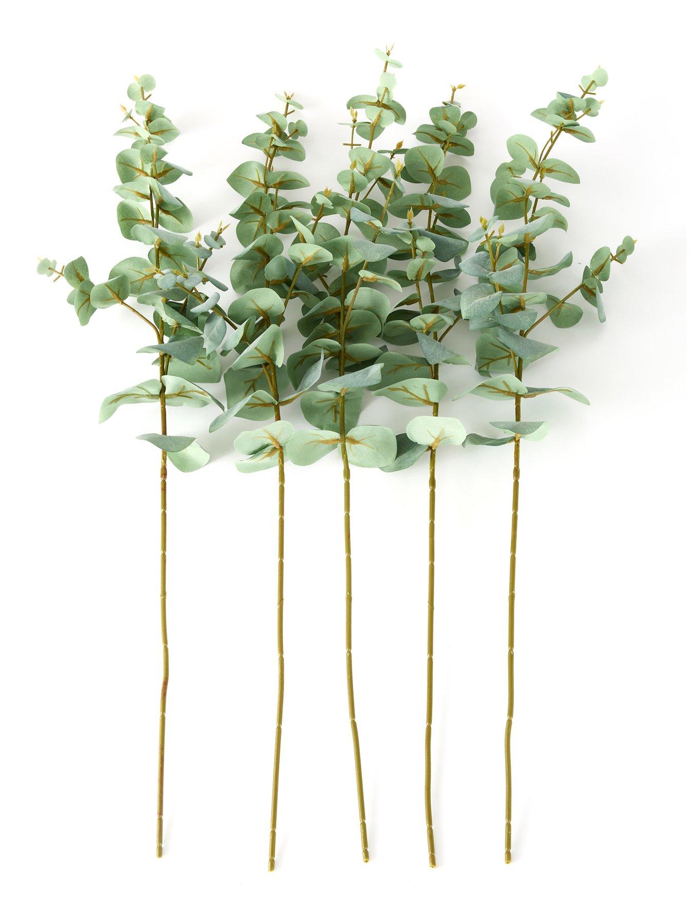  image of very-home-69cm-eucalyptus-stems-pack-of-5