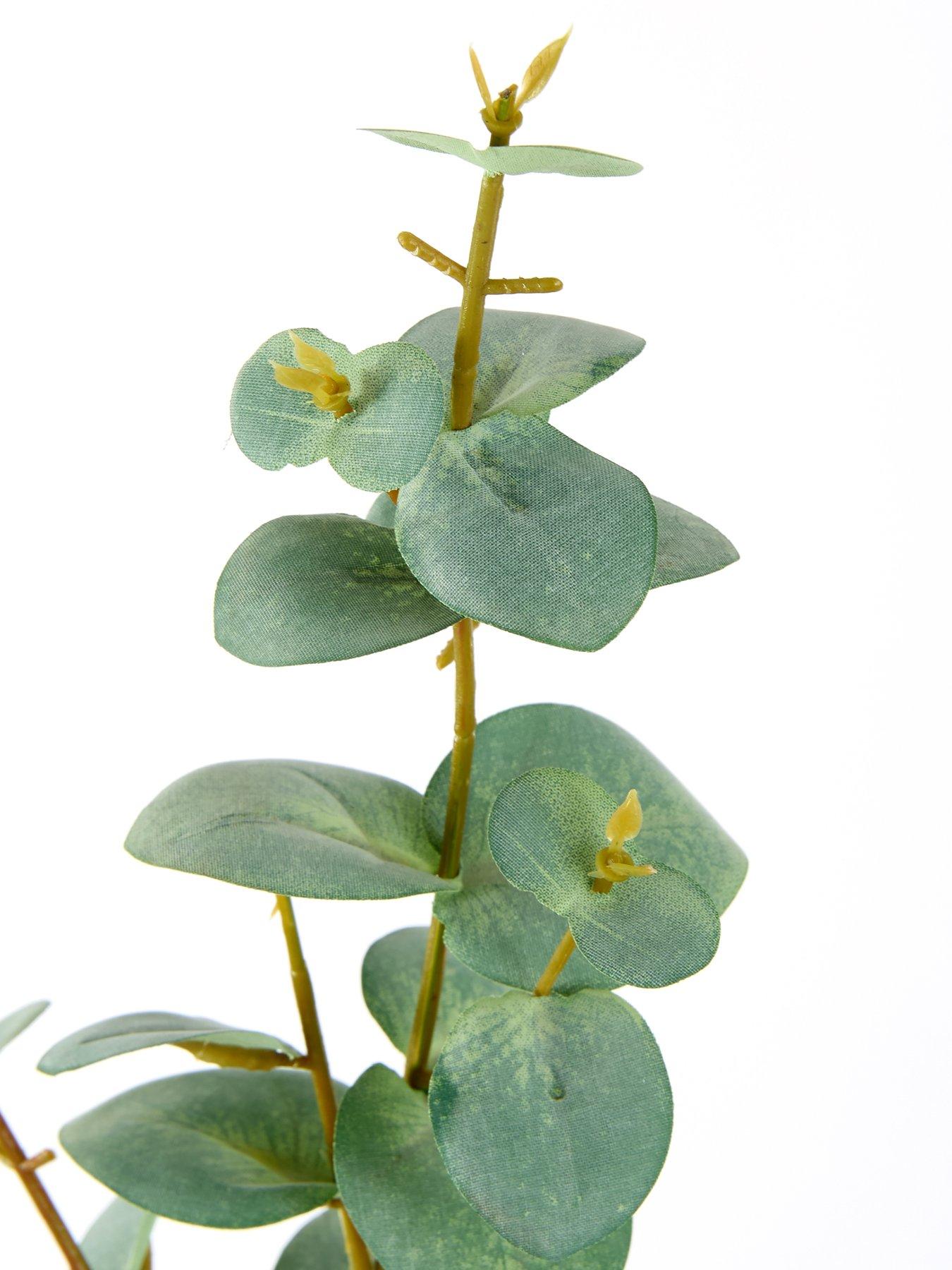  image of very-home-69cm-eucalyptus-stems-pack-of-5