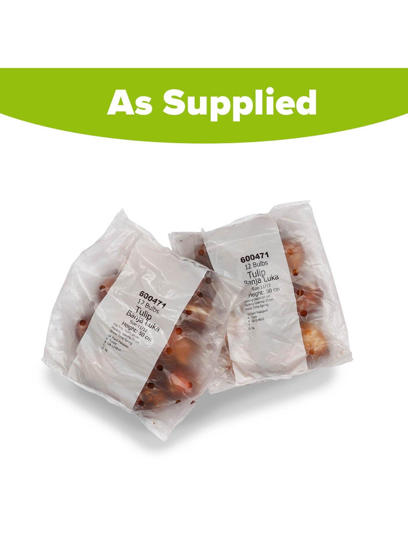  image of you-garden-tulip-banja-luka-24-bulbs