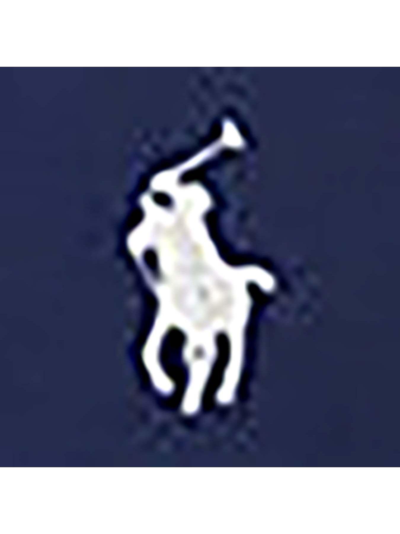 Image 3 of 3 of Polo Ralph Lauren Boys Sweatshirt - Navy