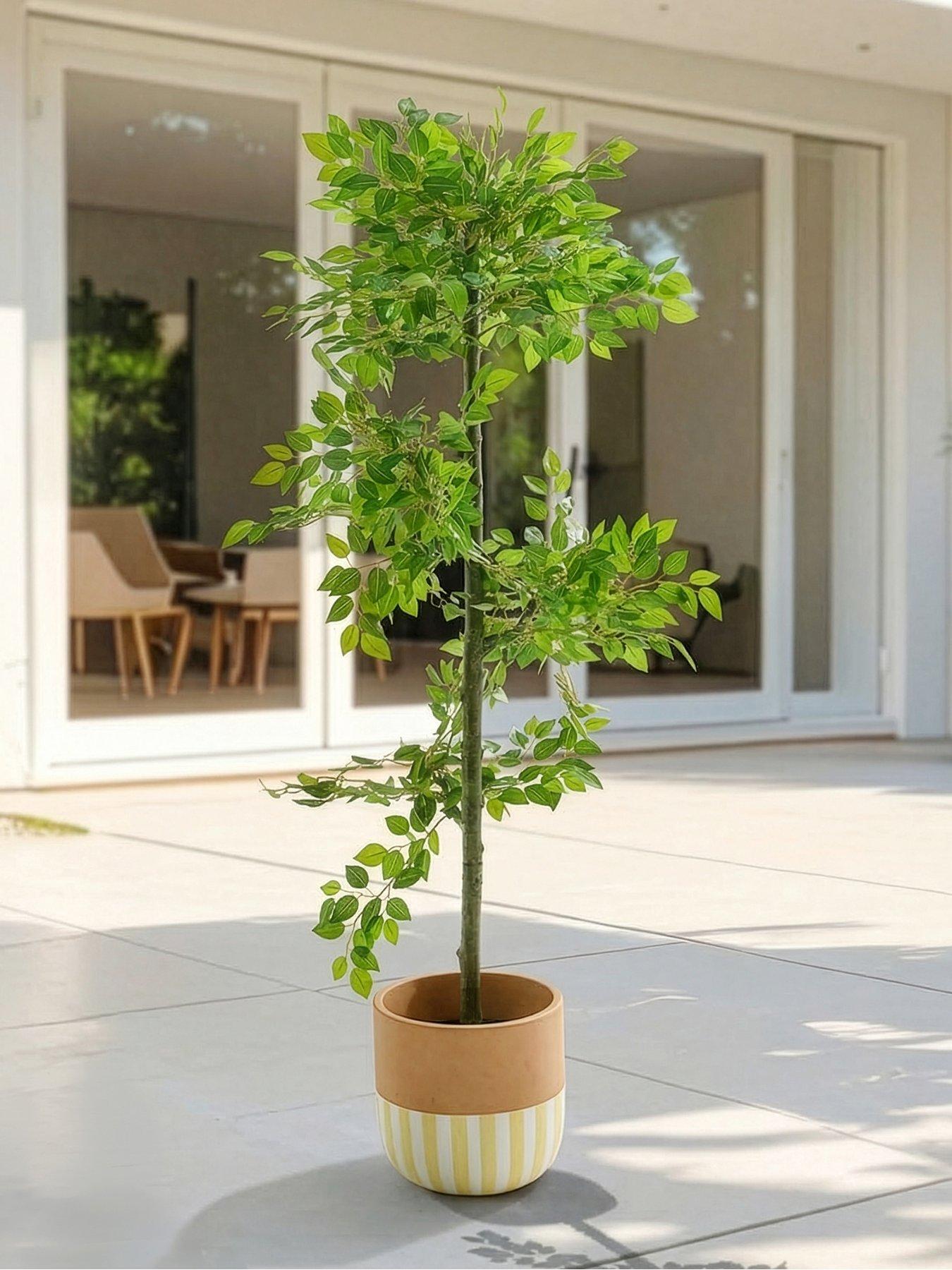 The Very Collection 152cm Faux Potted Ficus Tree - Outdoor/Indoor