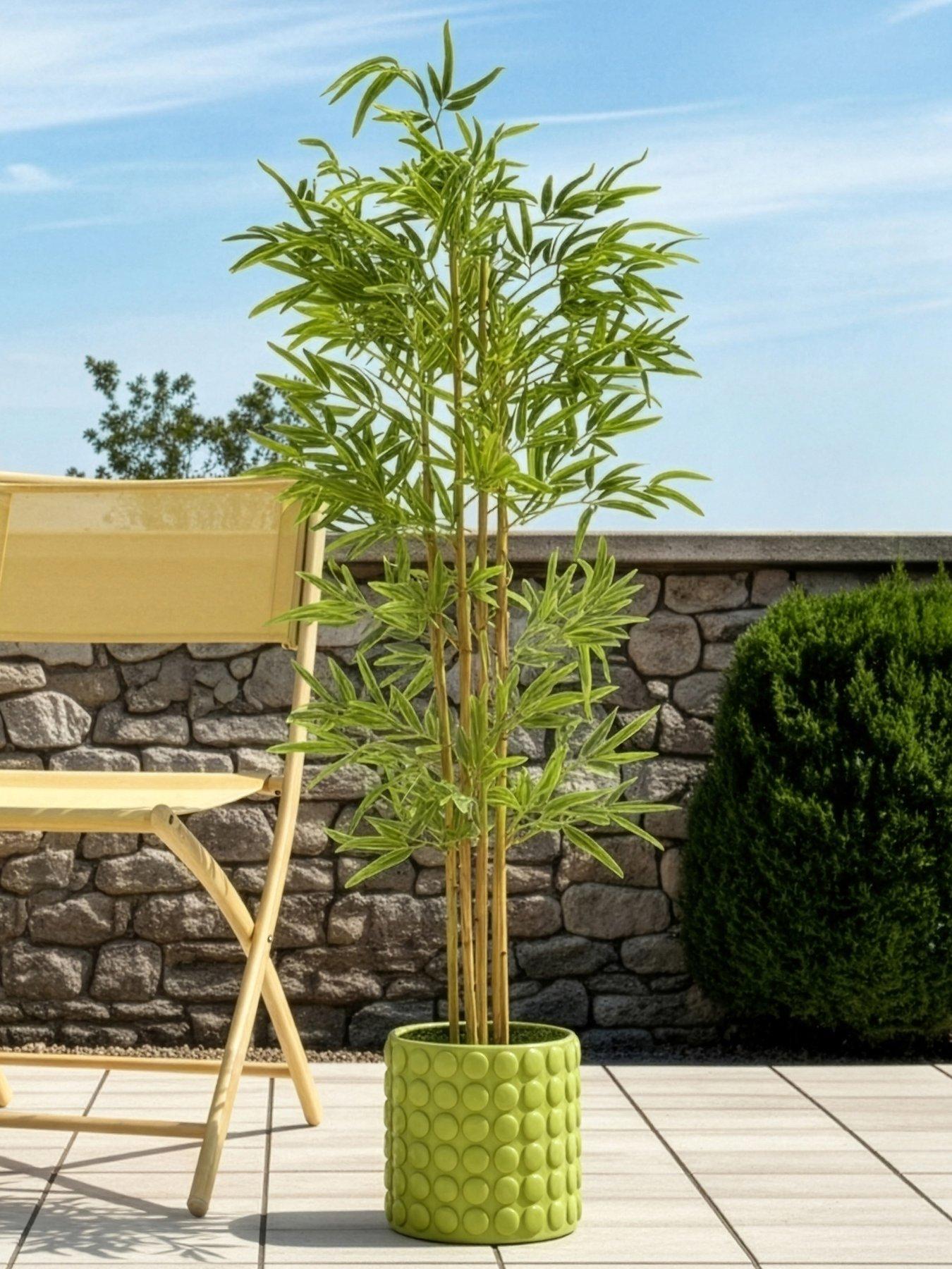 the-very-collection-bamboo-potted-plant-potted-tree-outdoorindoor152cm