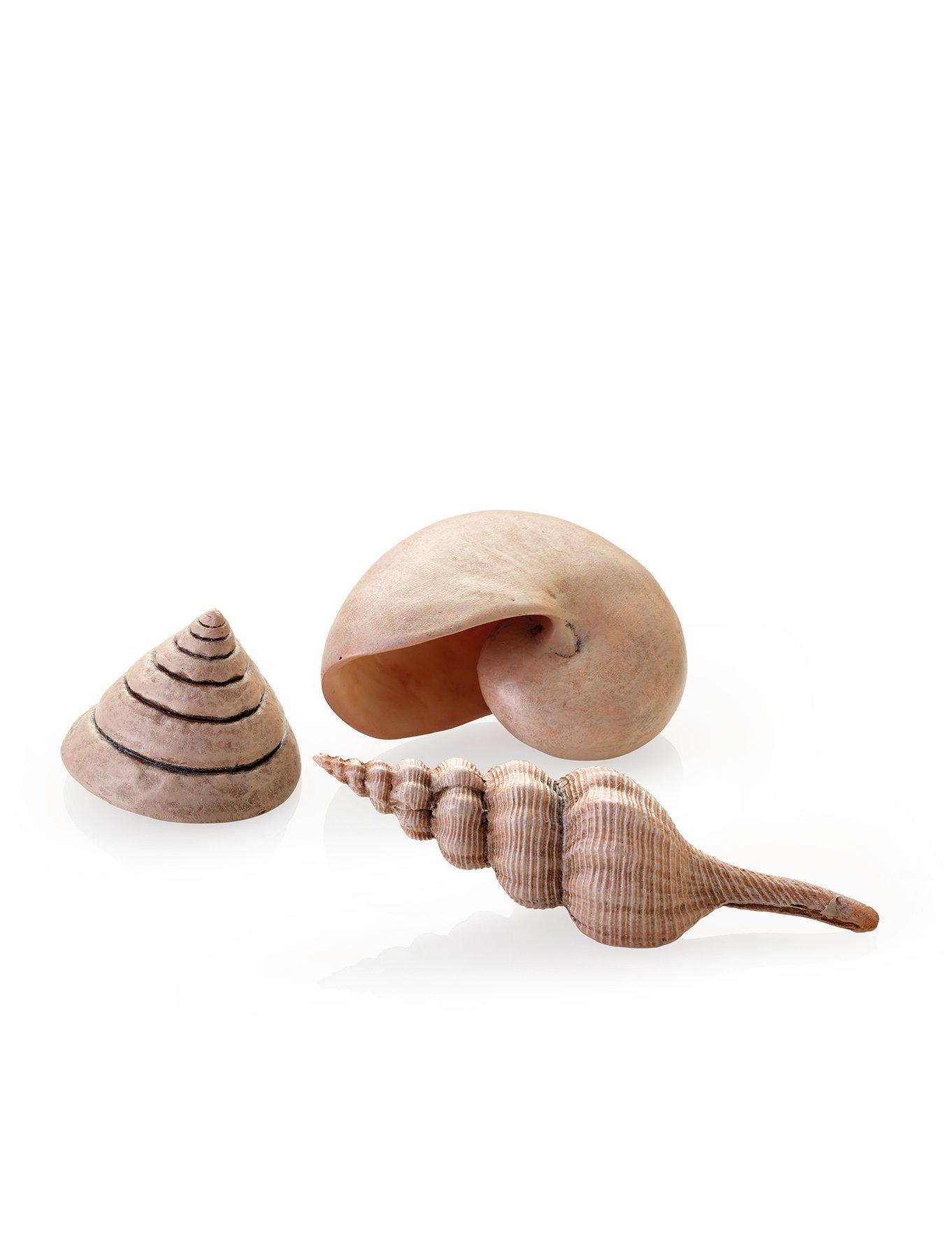 undefined Sea Shells Set Natural