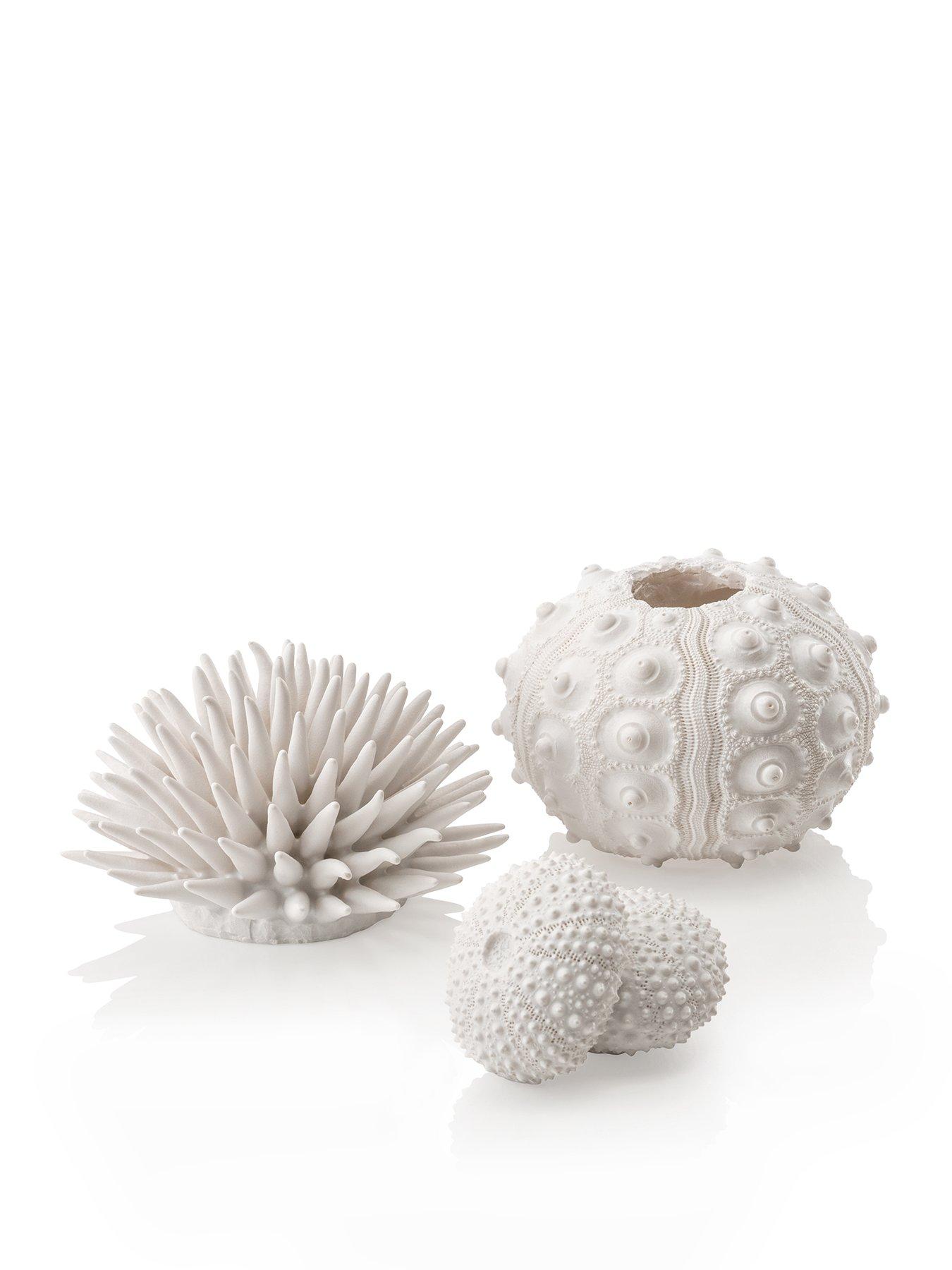 undefined Sea Urchins Set White
