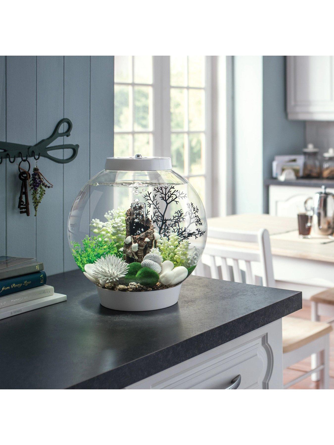 Image 2 of 2 of Biorb Sea Urchins Set White