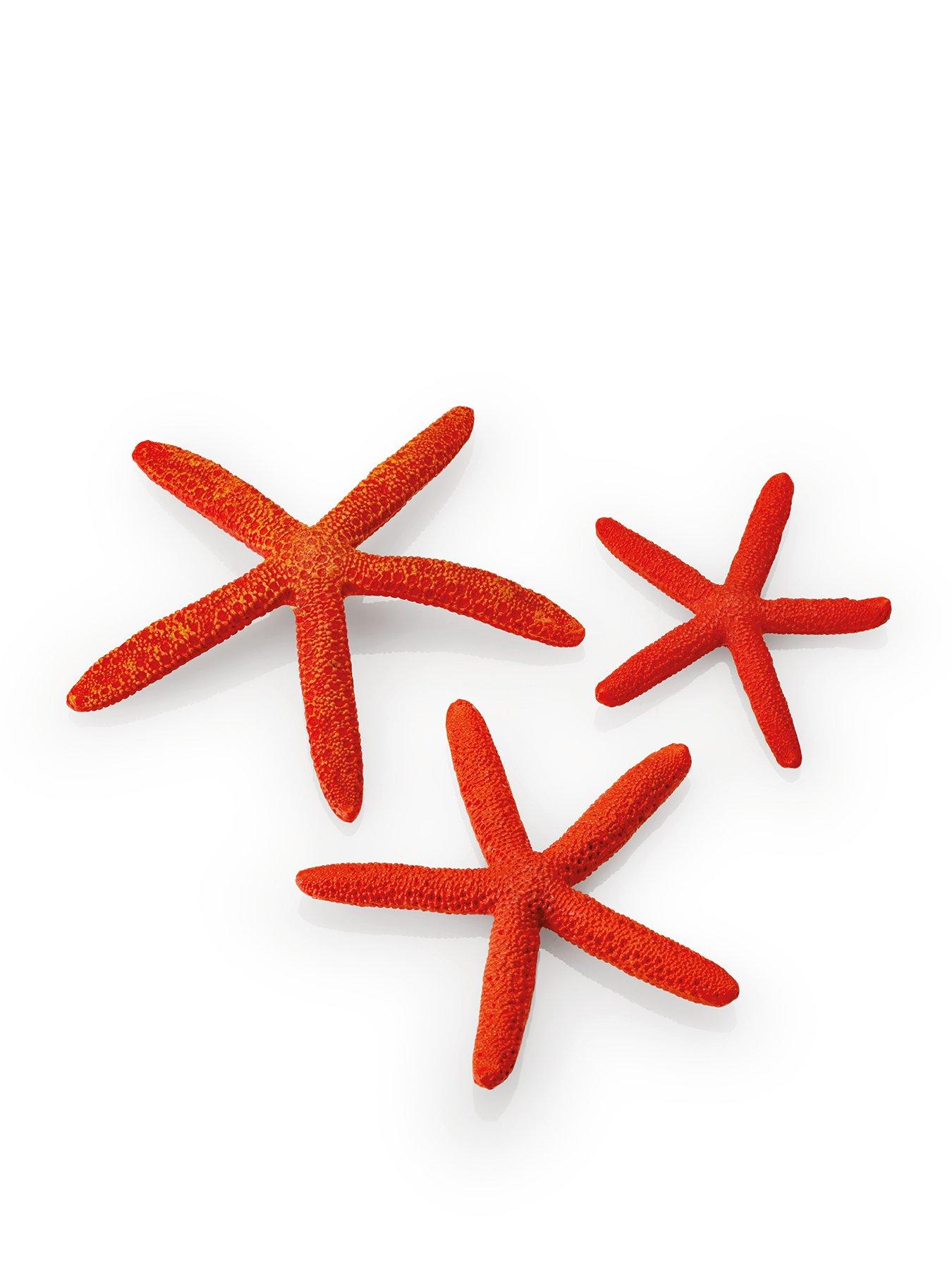 undefined Starfish Set 3 Red