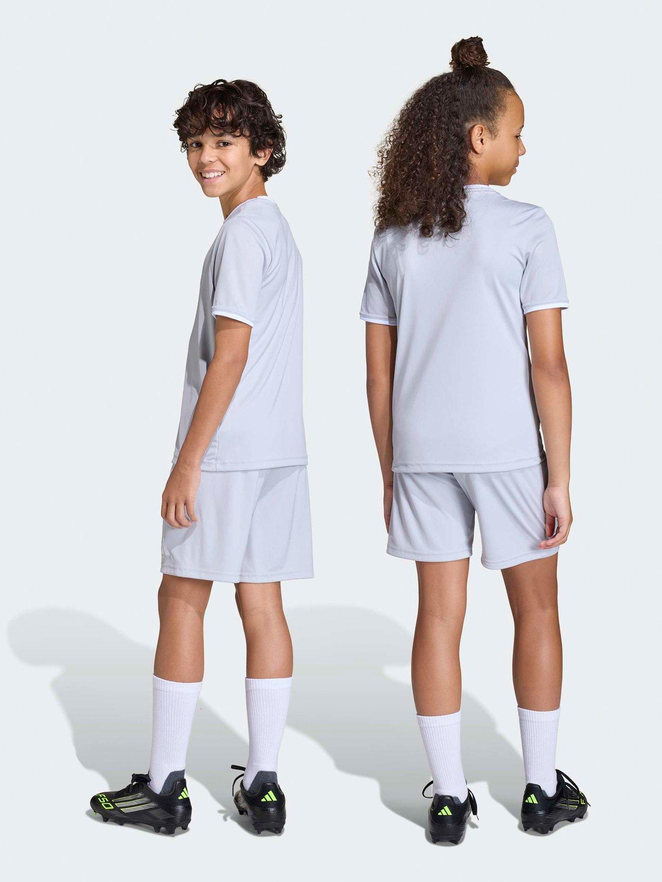  image of adidas-junior-entrada-26-training-shorts-grey