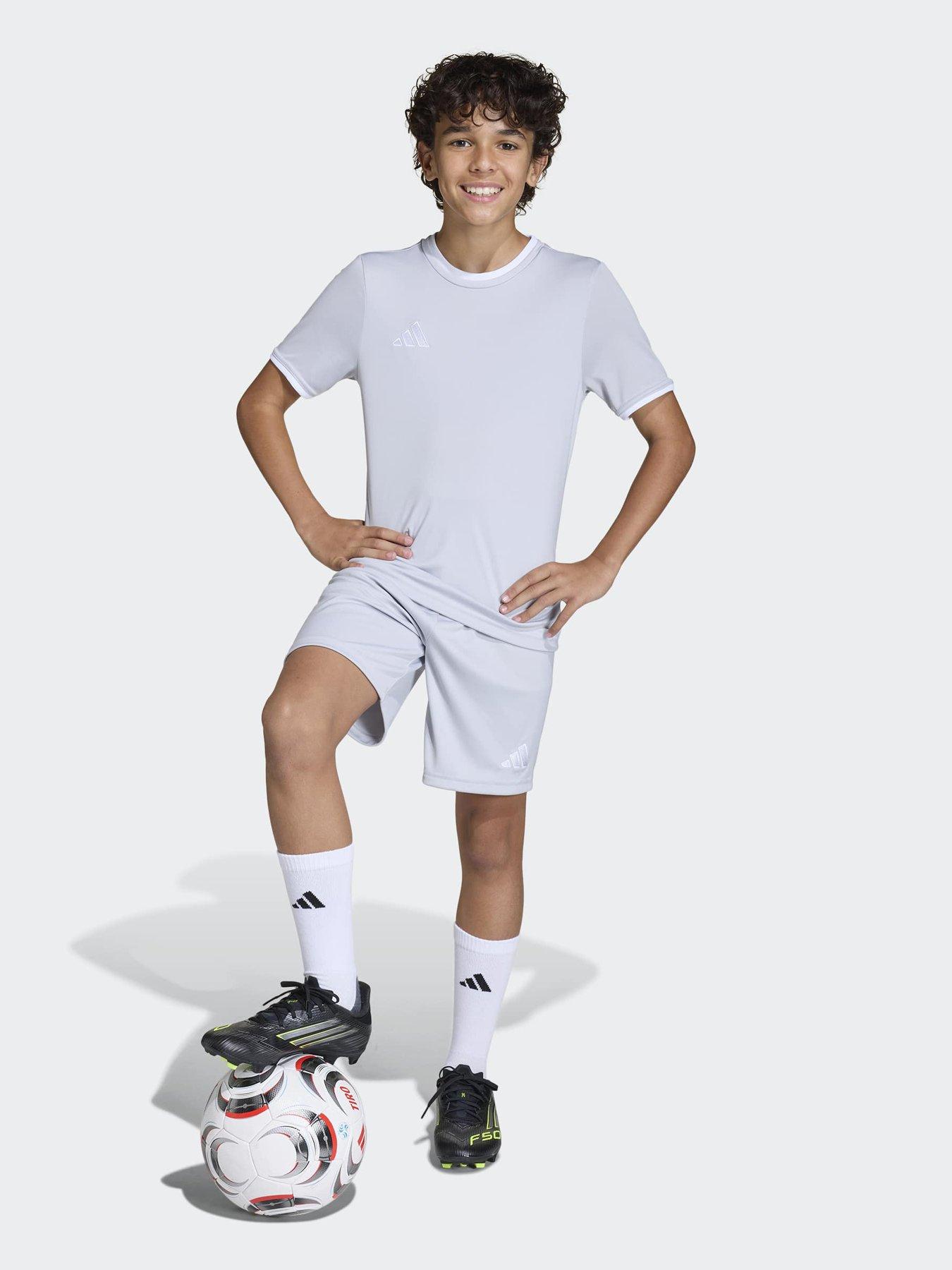  image of adidas-junior-entrada-26-training-shorts-grey