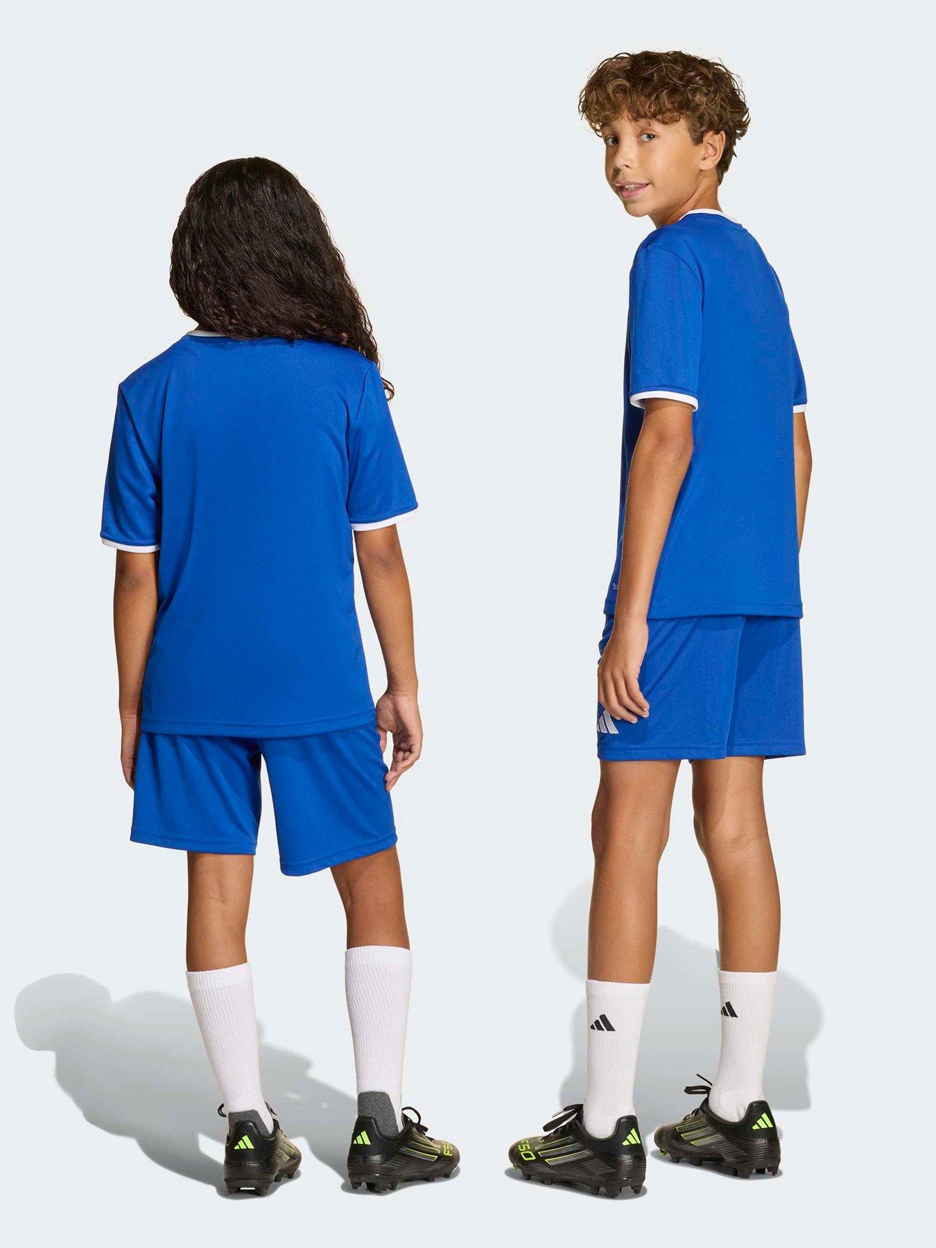  image of adidas-junior-entrada-26-training-shorts-blue