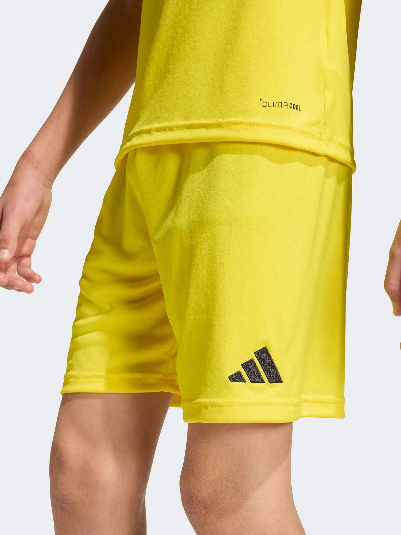  image of adidas-junior-entrada-26-training-shorts-yellow