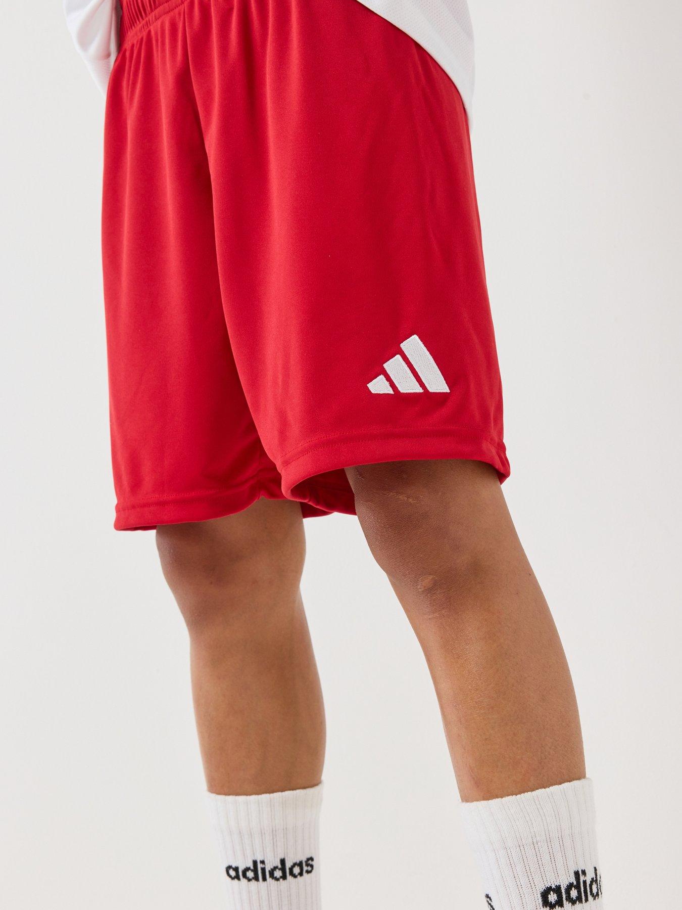 Image 4 of 6 of adidas Junior Entrada 26 Training Shorts - Red