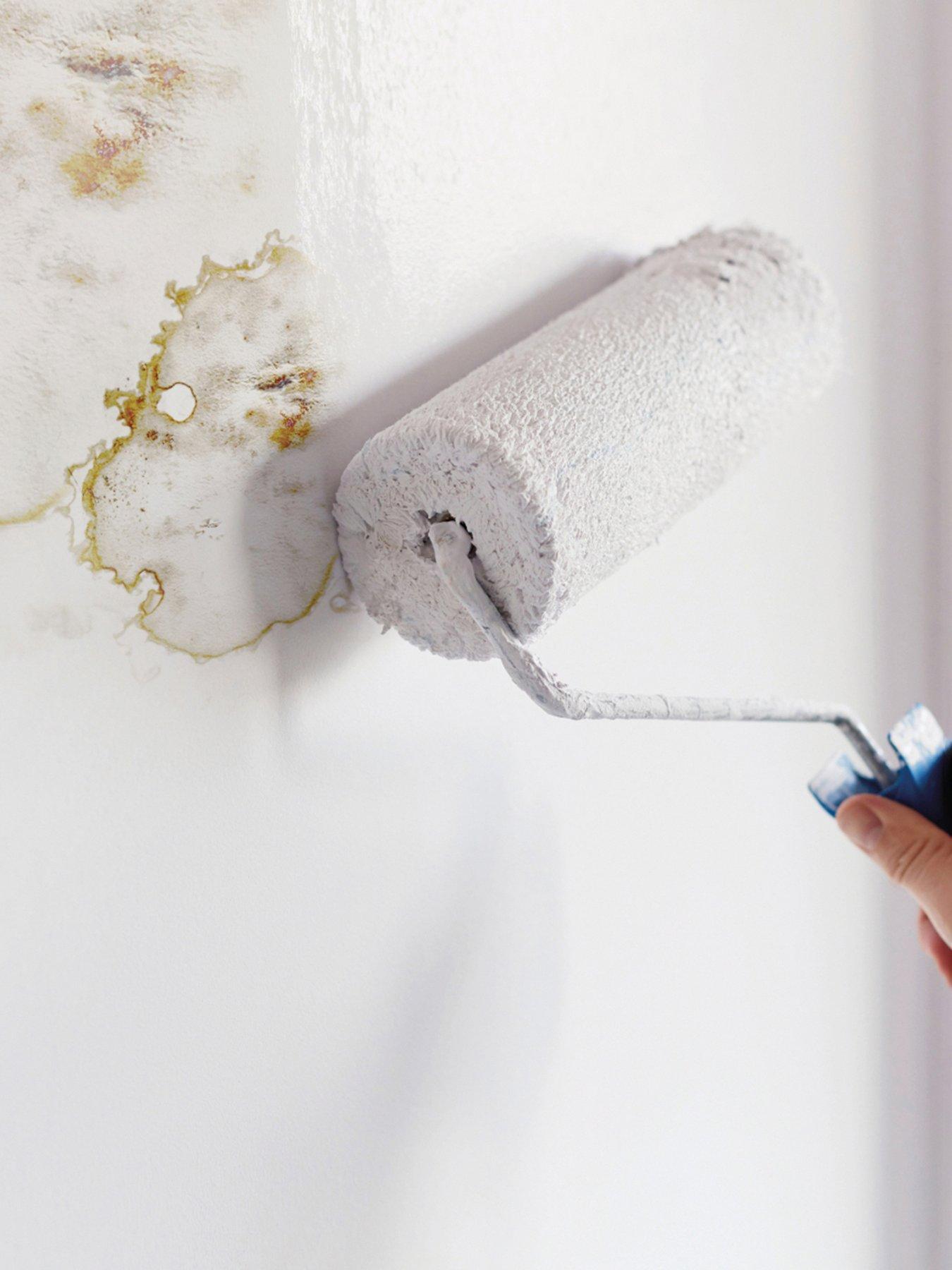 Image 4 of 6 of Ronseal 6 Year Anti Mould Paint White Silk 750ml