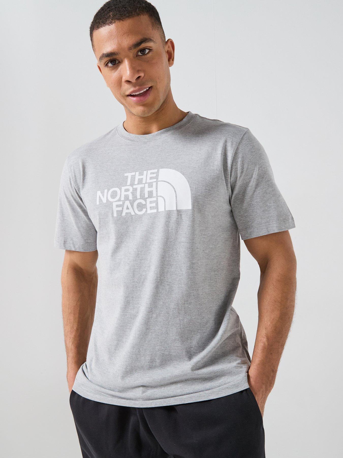 the-north-face-mens-evolution-half-dome-t-shirt-grey