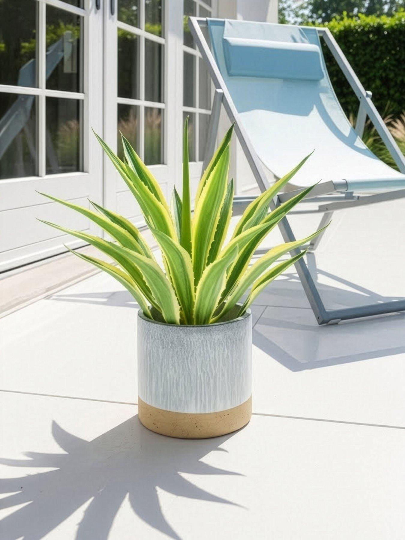 The Very Collection Seascape Planter 25cm Blue/Natural