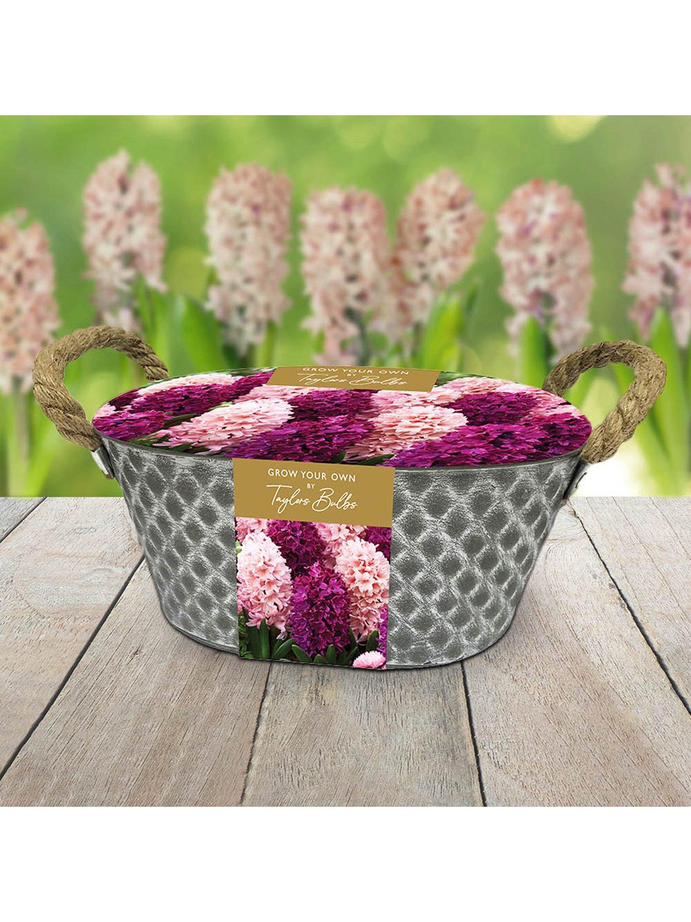 You Garden Outdoor Metal Trough Hyacinth