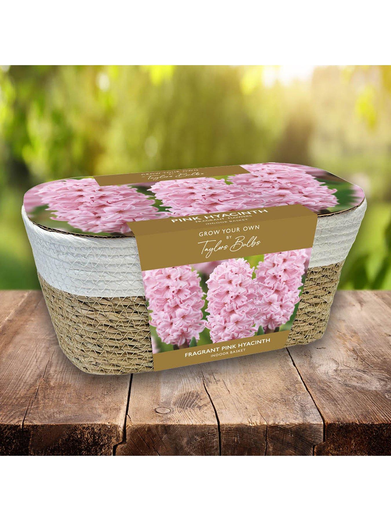 You Garden Large Pink Hyacinth Indoor Basket