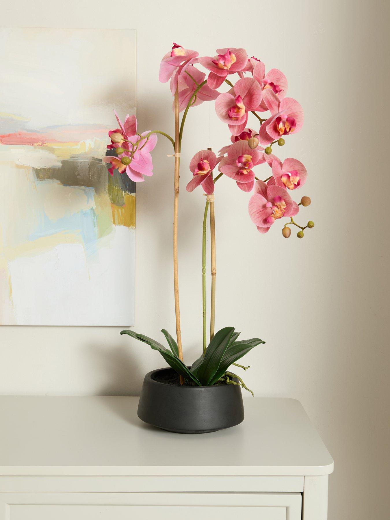 The Very Collection 65cm Real Touch Phalaenopsis in Black Ceramic Pot