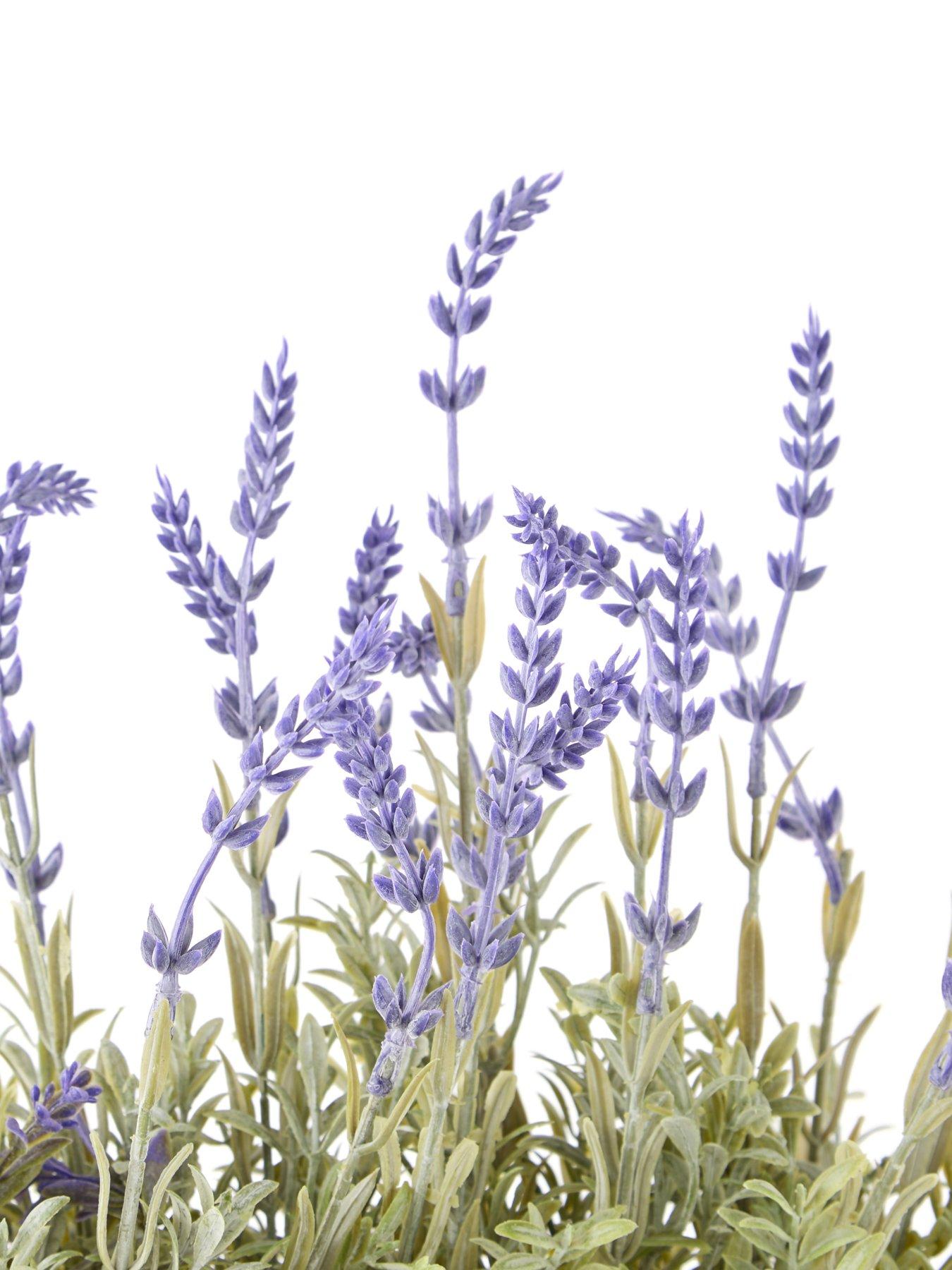  image of the-very-collection-28cm-lavender-in-cement-pot