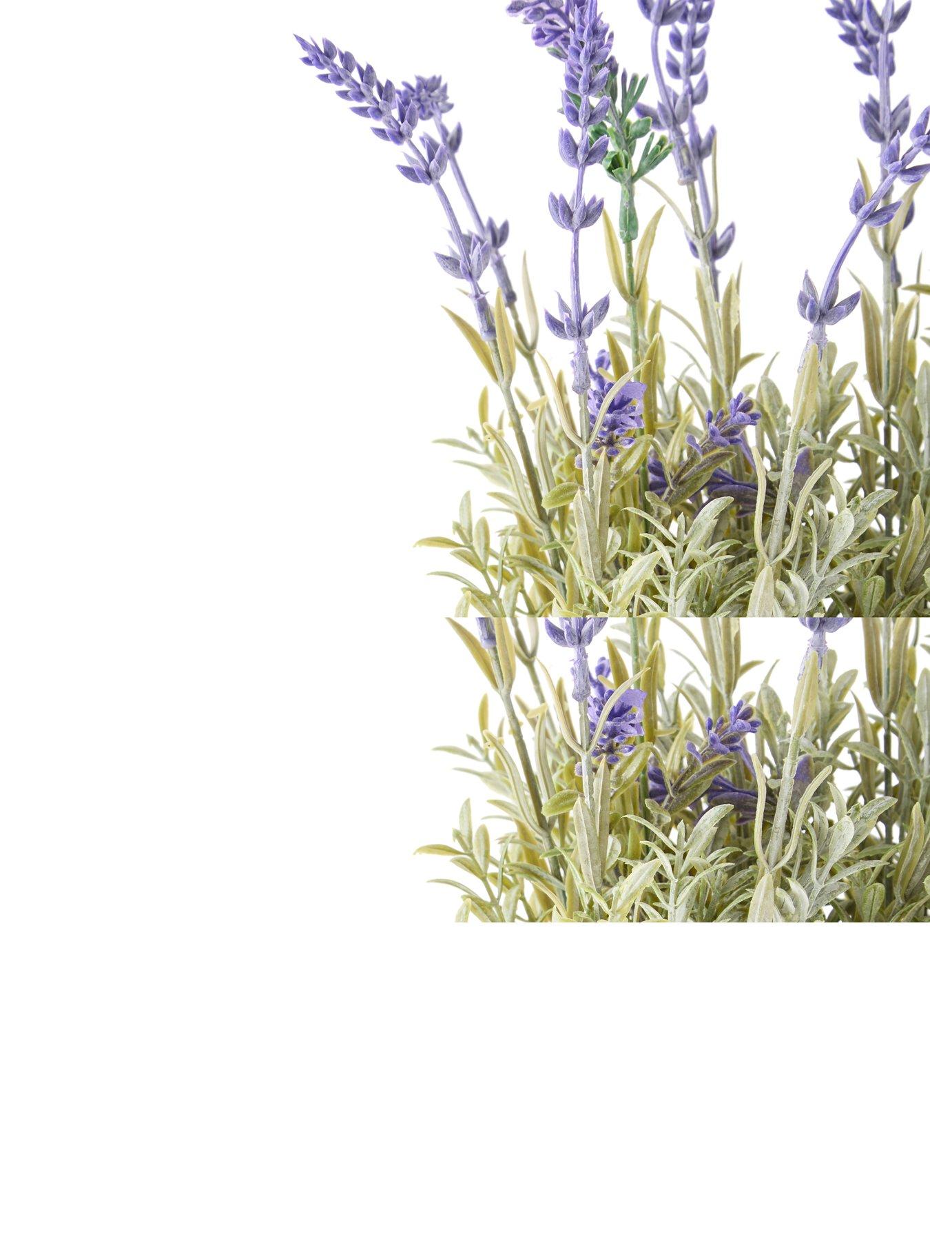  image of the-very-collection-28cm-lavender-in-cement-pot
